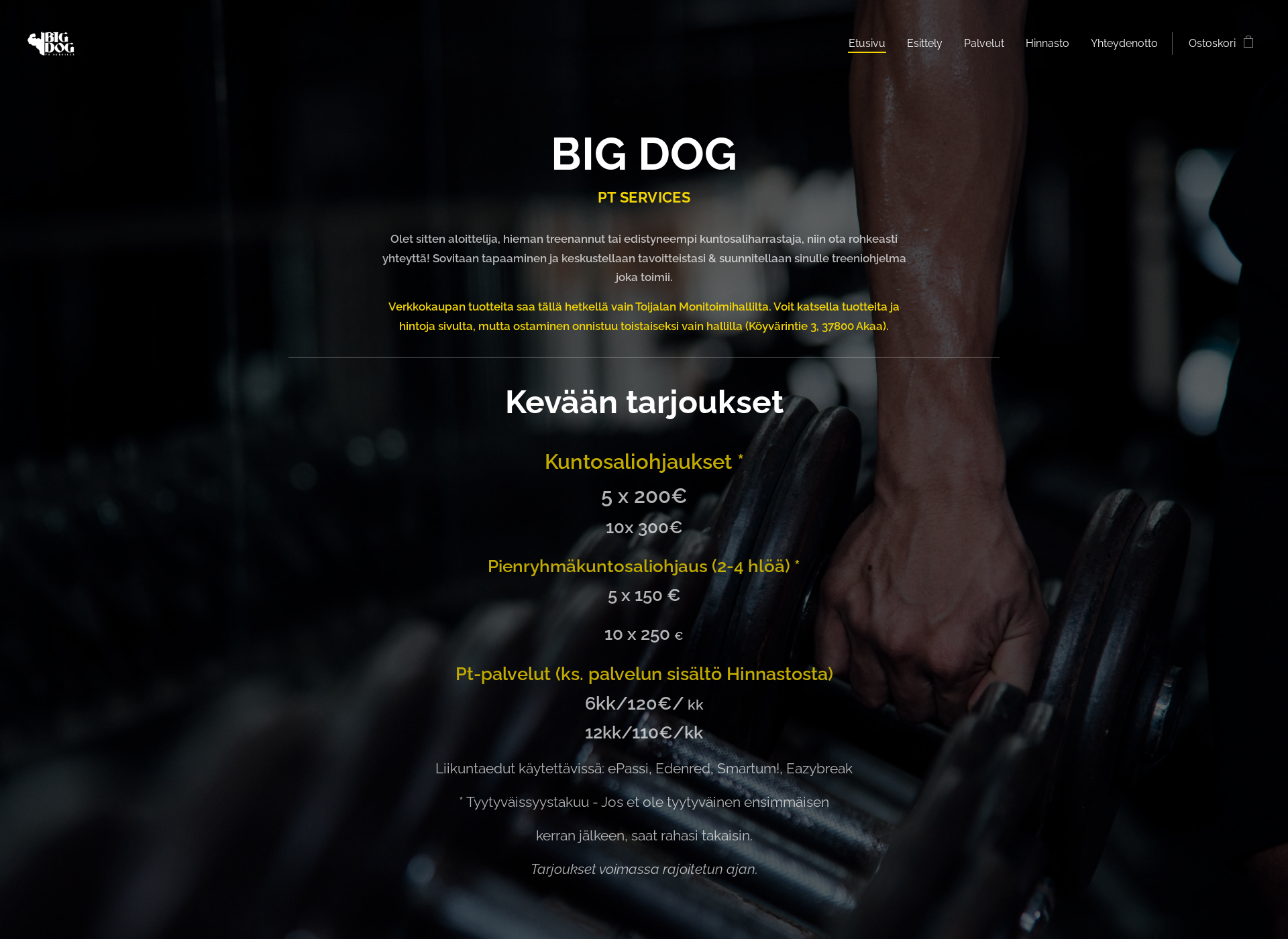 Screenshot for bigdogpt.fi