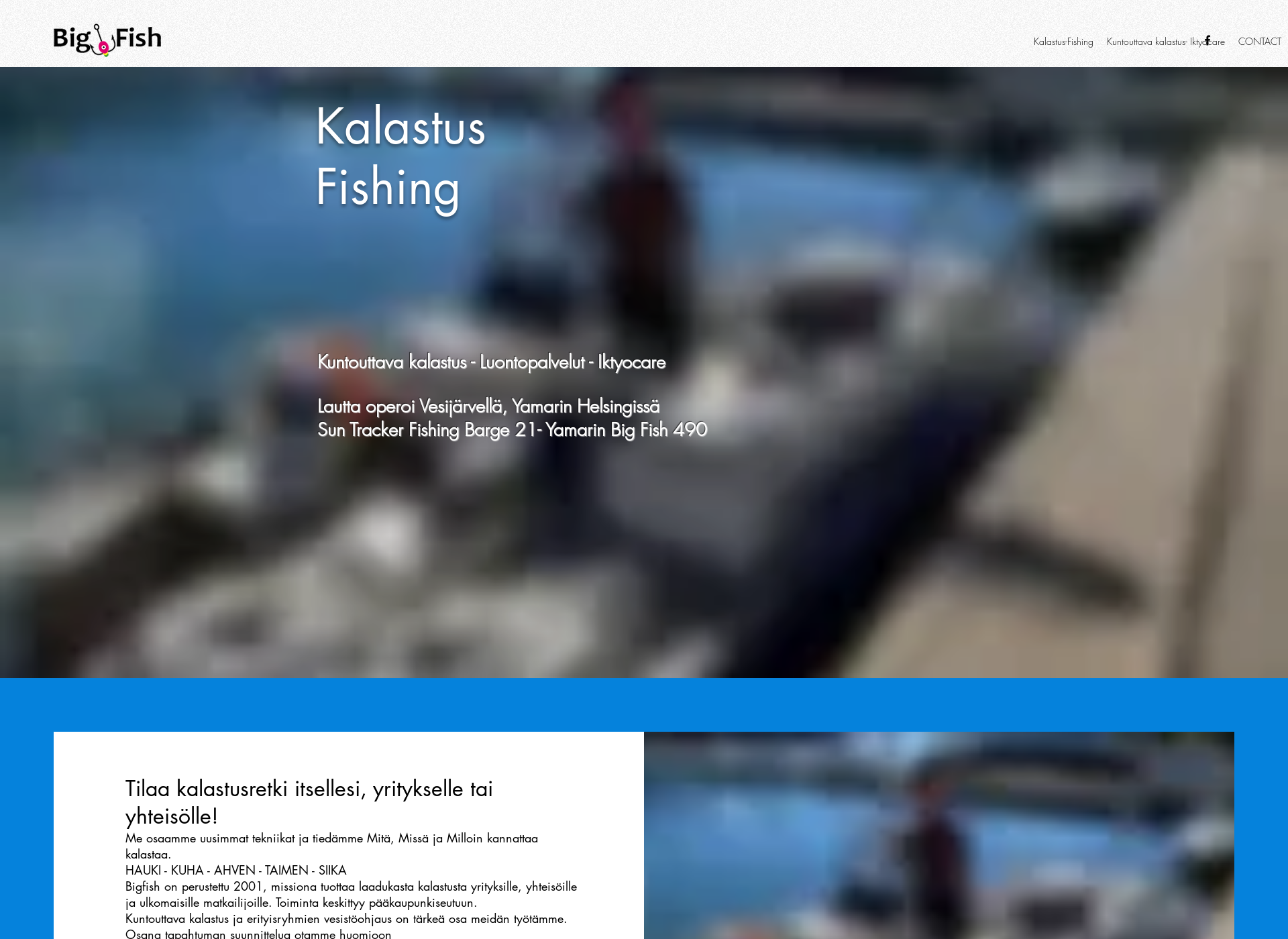 Skärmdump för bigfish.fi