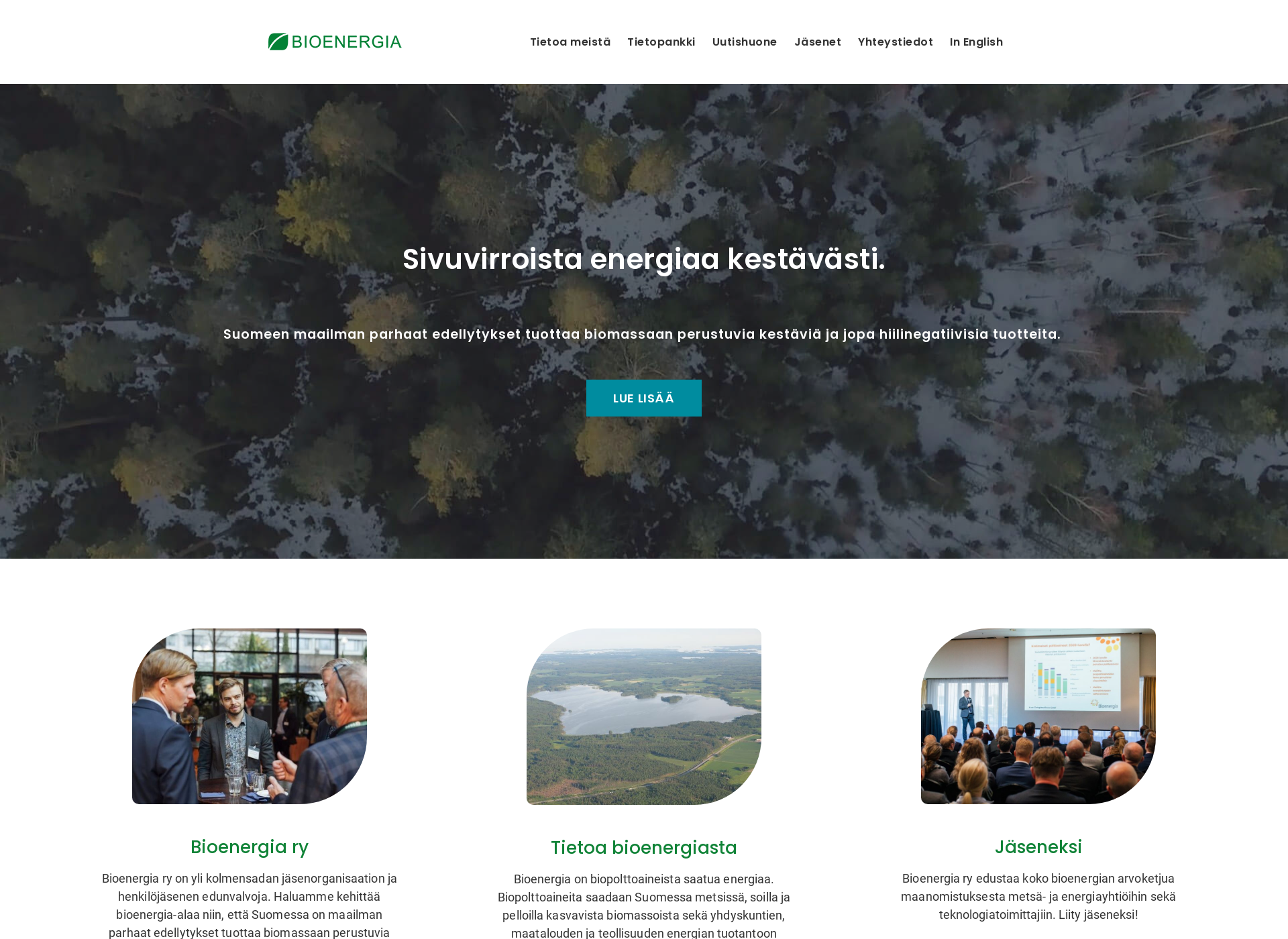 Screenshot for bioenergia.fi