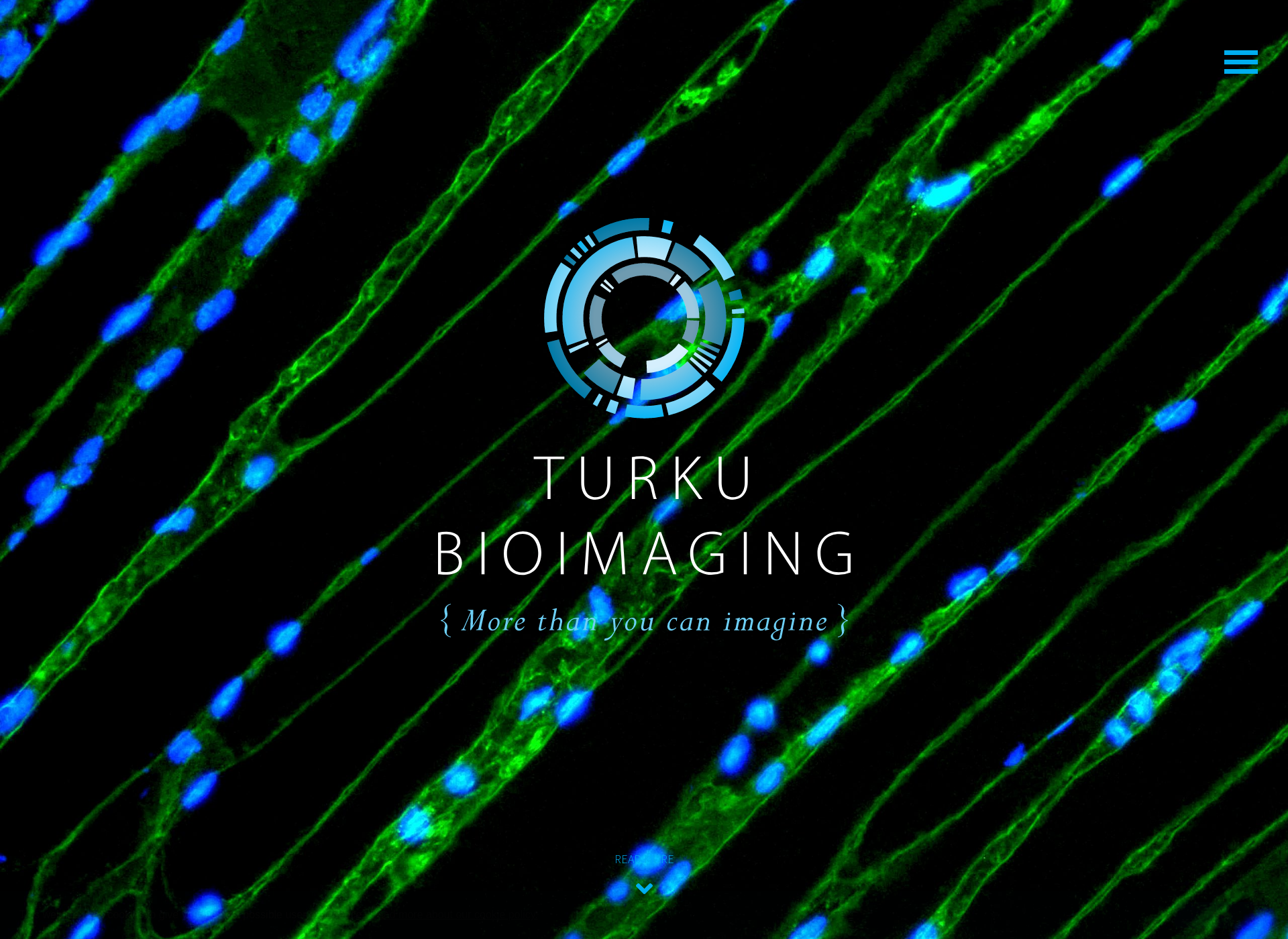 Screenshot for bioimaging.fi