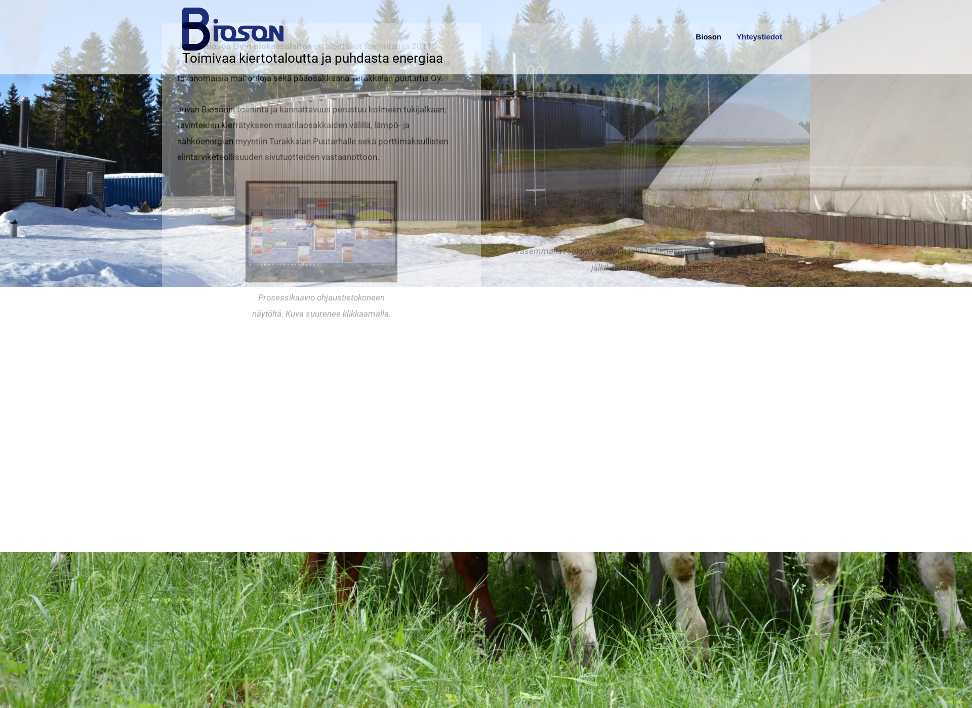Screenshot for bioson.fi