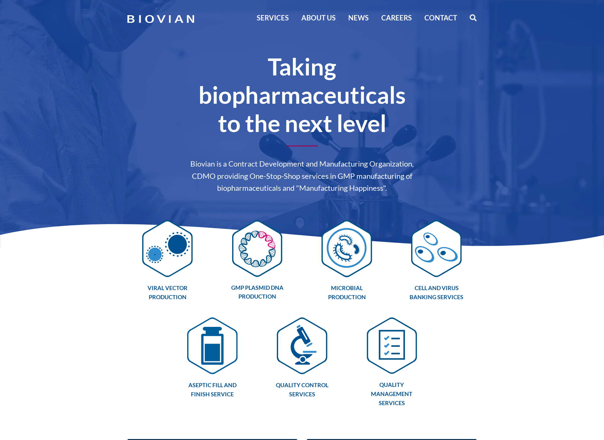Screenshot for biovian.com