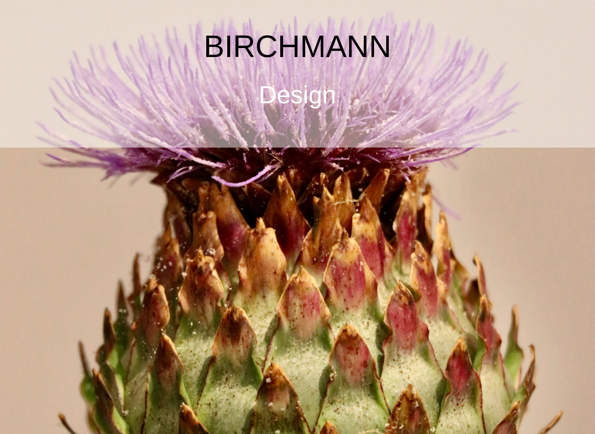 Skärmdump för birchmann.com