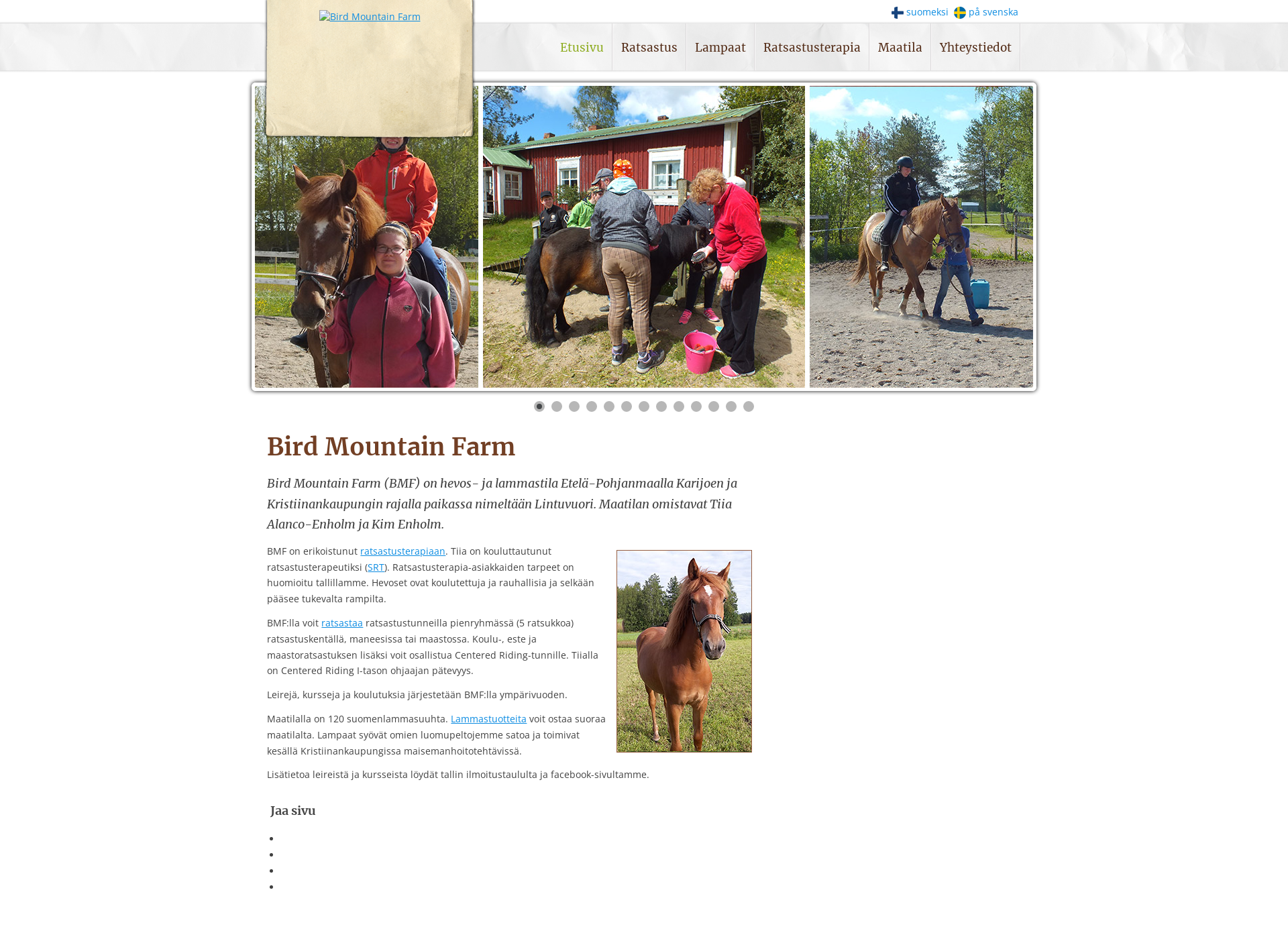 Screenshot for birdmountainfarm.fi