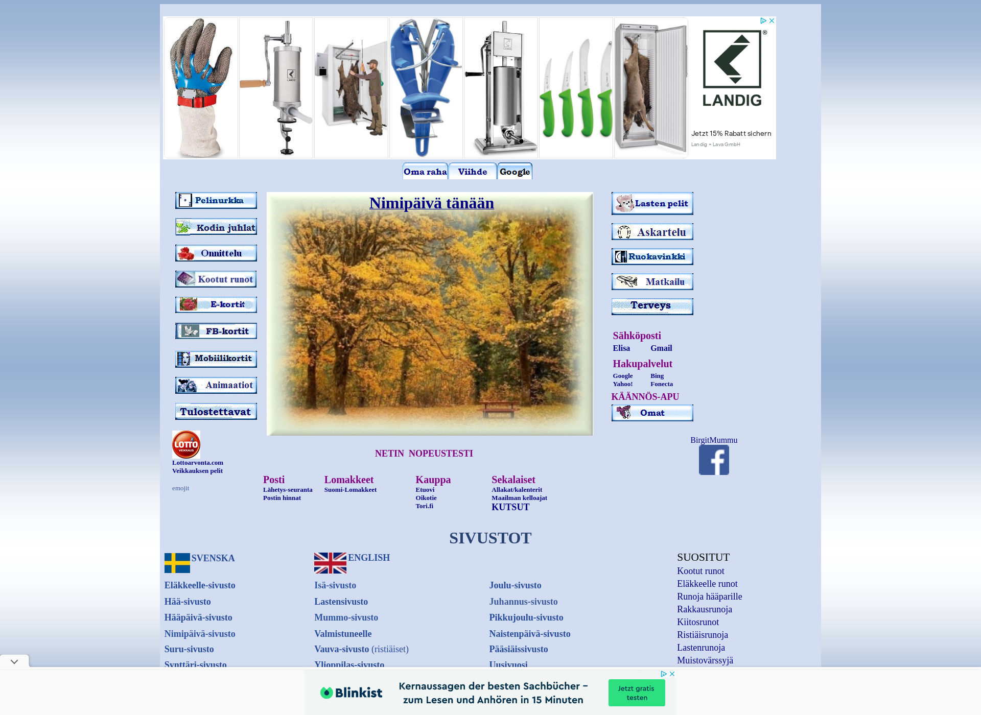 Screenshot for birgitmummu.fi