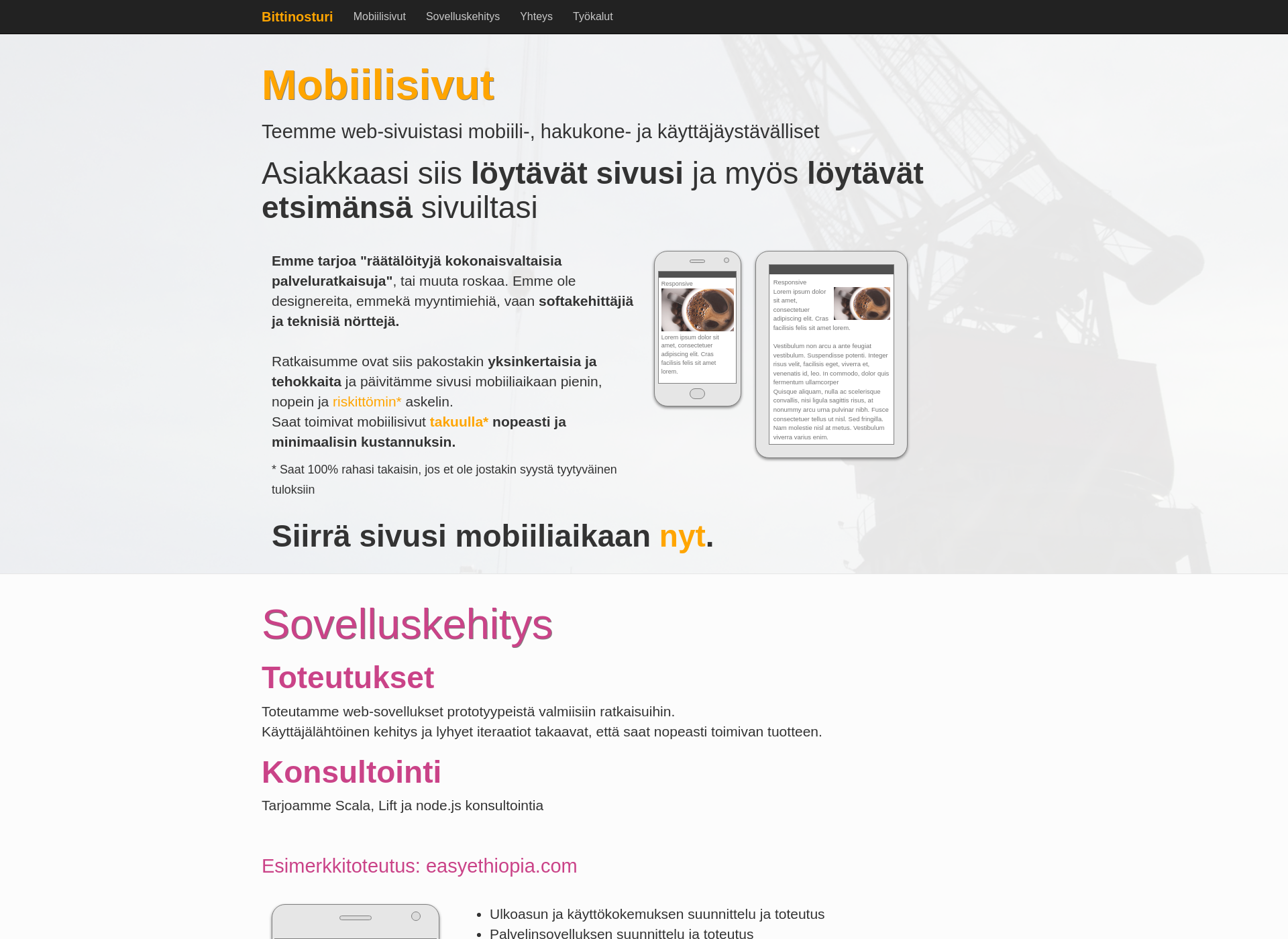 Näyttökuva bittinosturi.fi