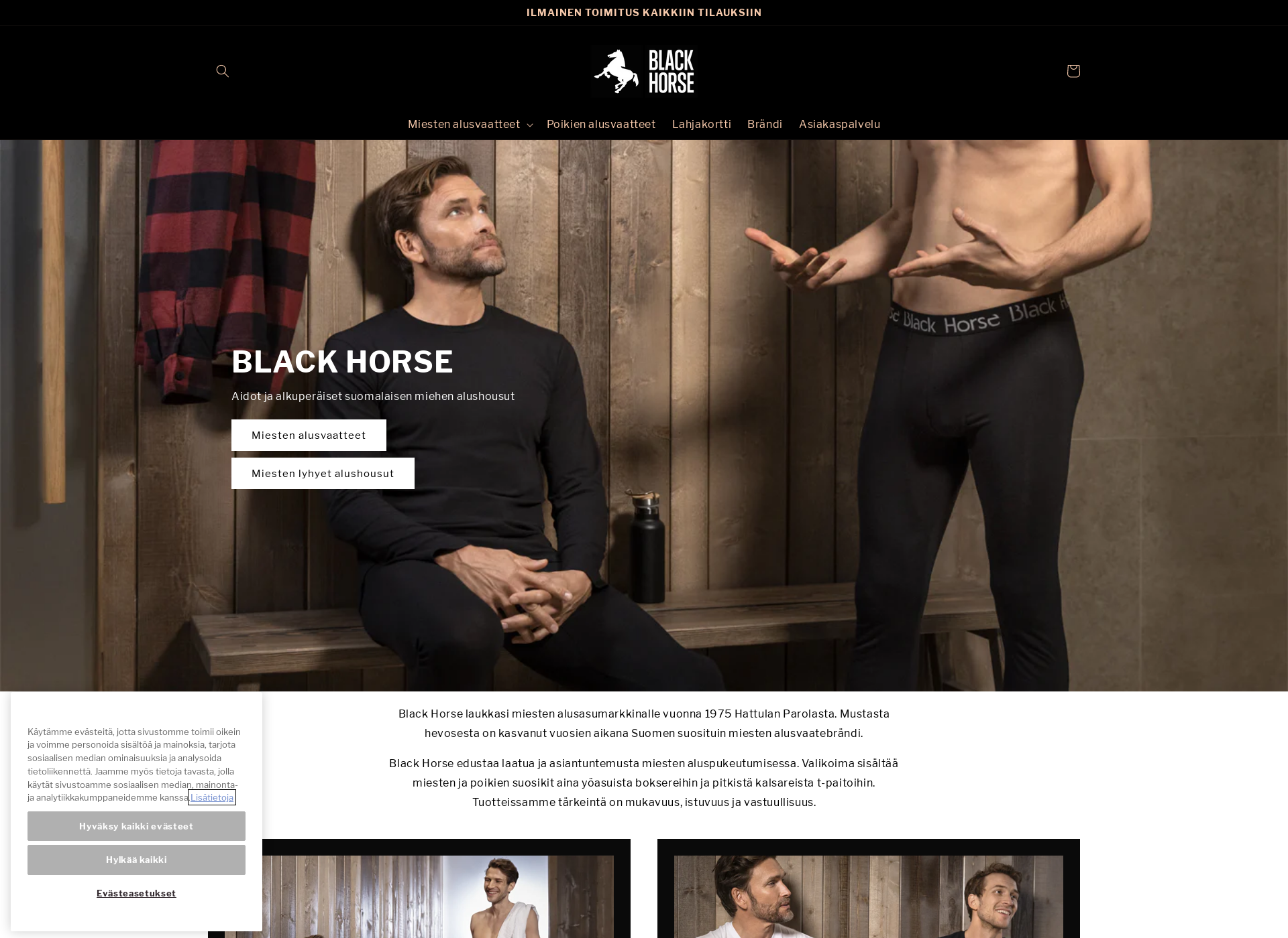 Screenshot for blackhorse.fi