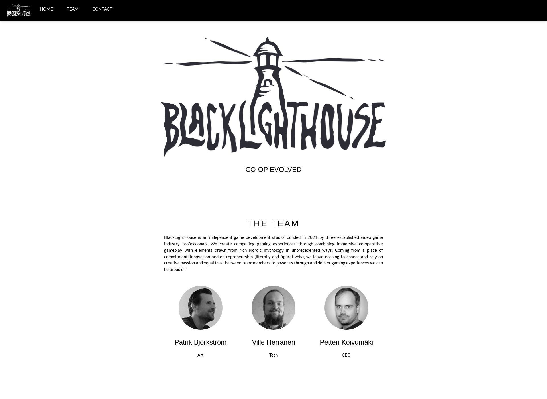 Screenshot for blacklighthouse.fi