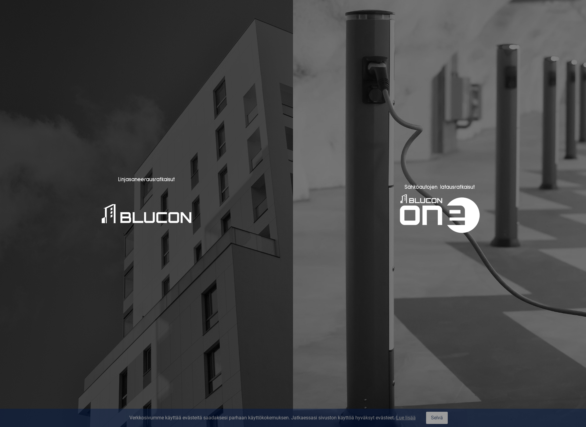 Screenshot for blucon.fi