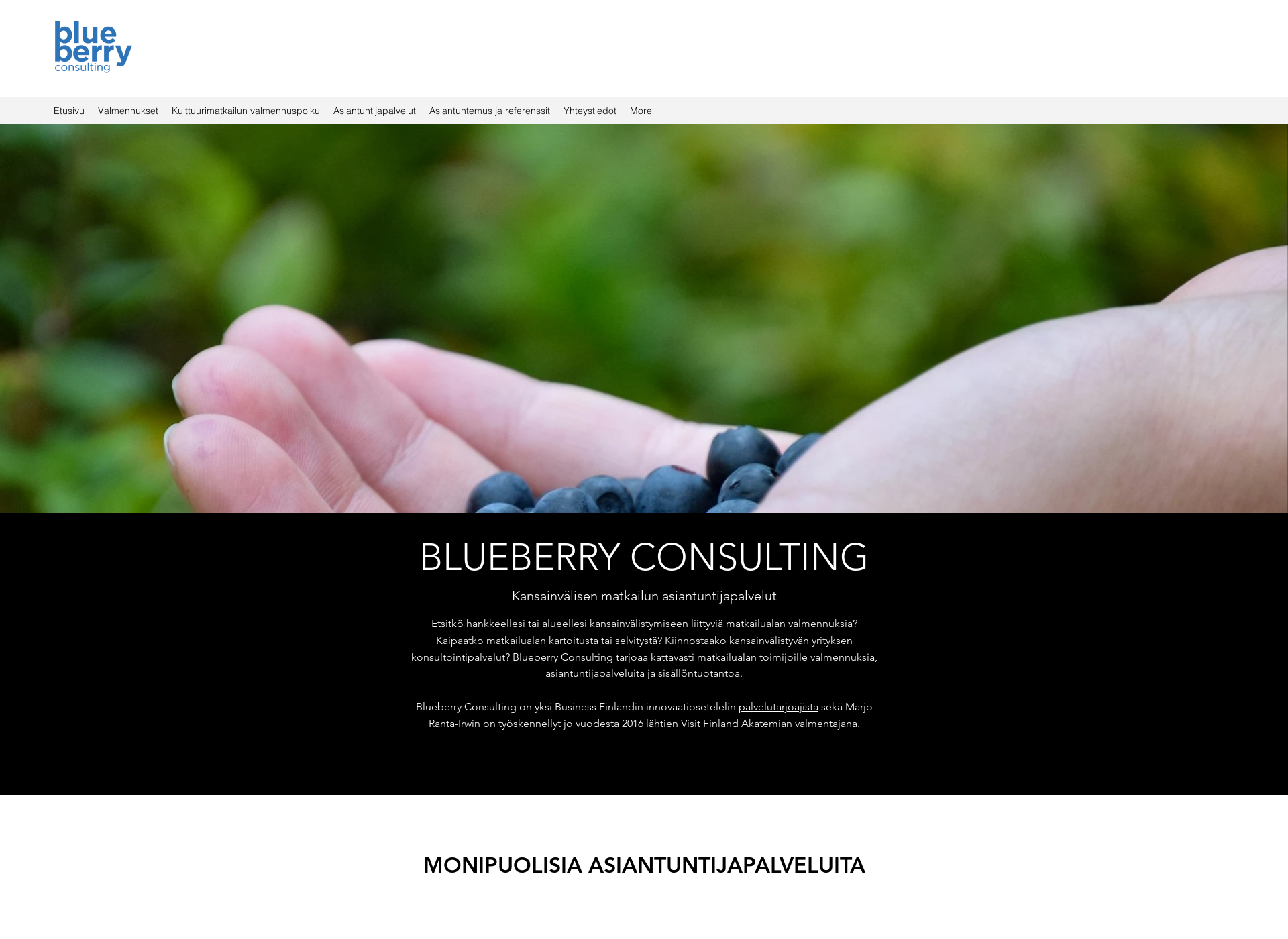 Screenshot for blueberryconsulting.fi