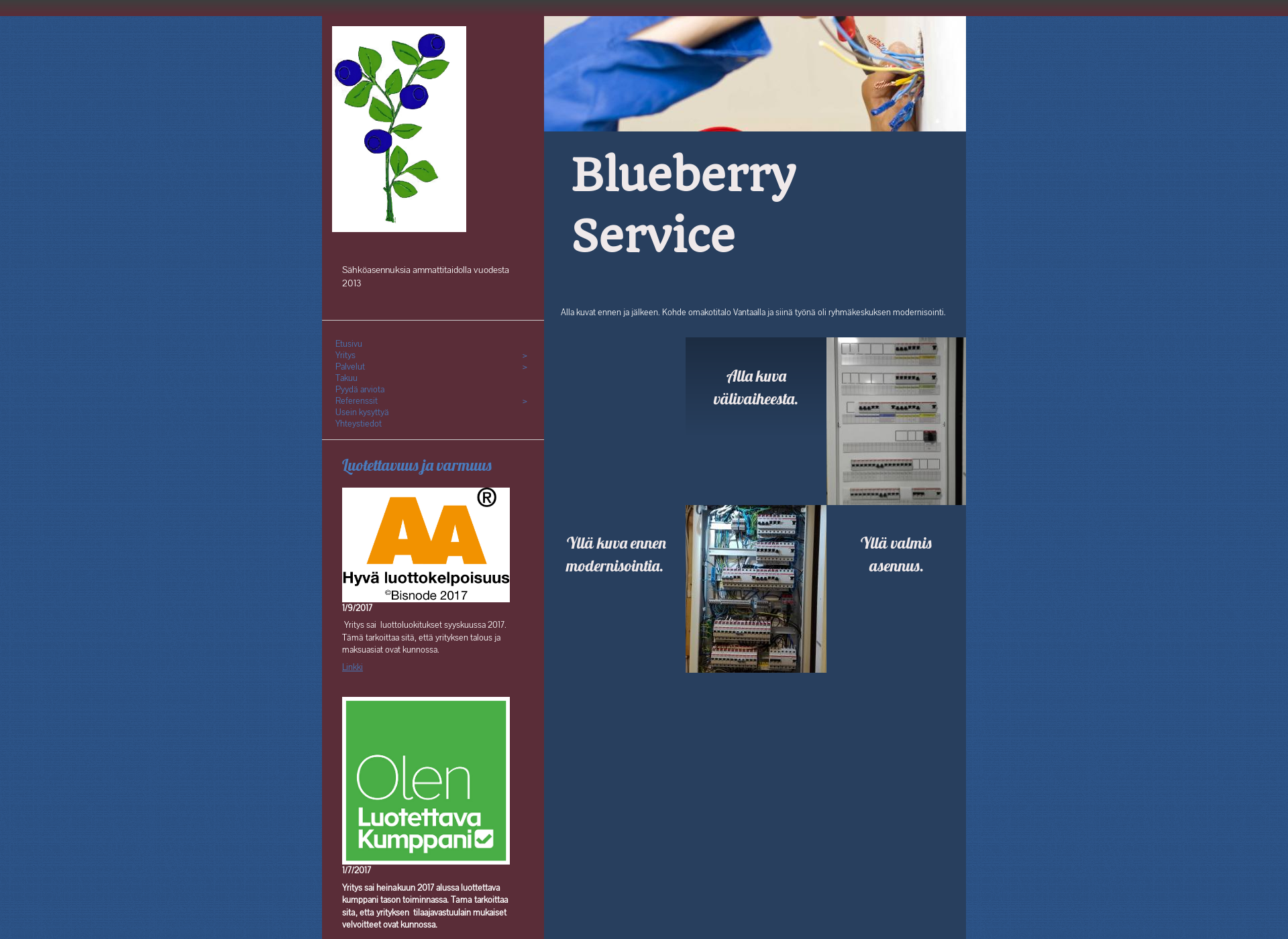 Screenshot for blueberryservice.fi