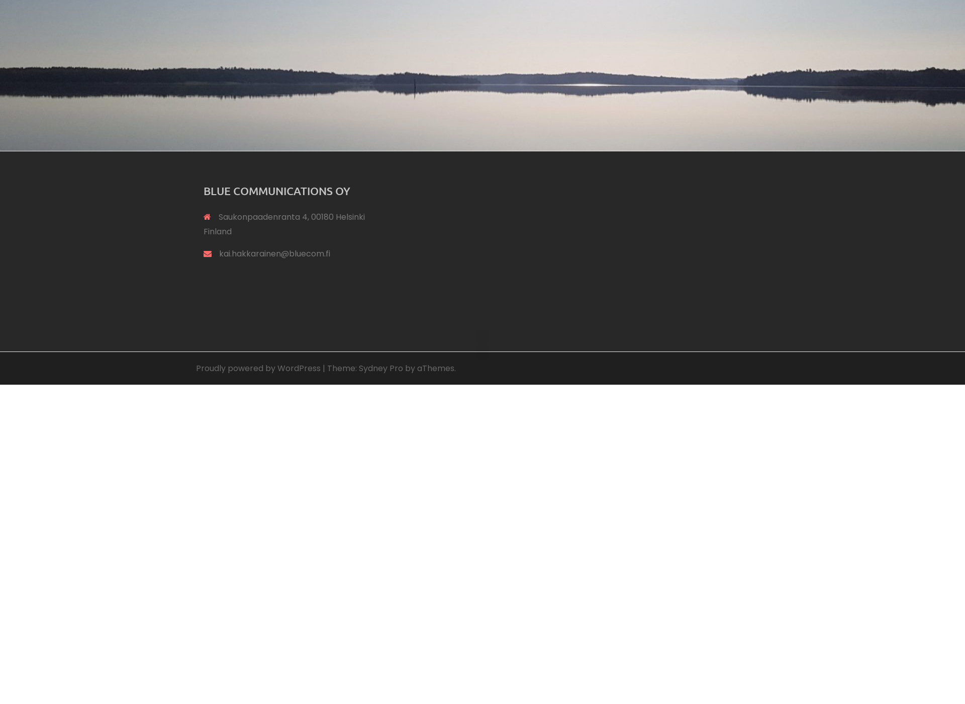 Skärmdump för bluecom.fi