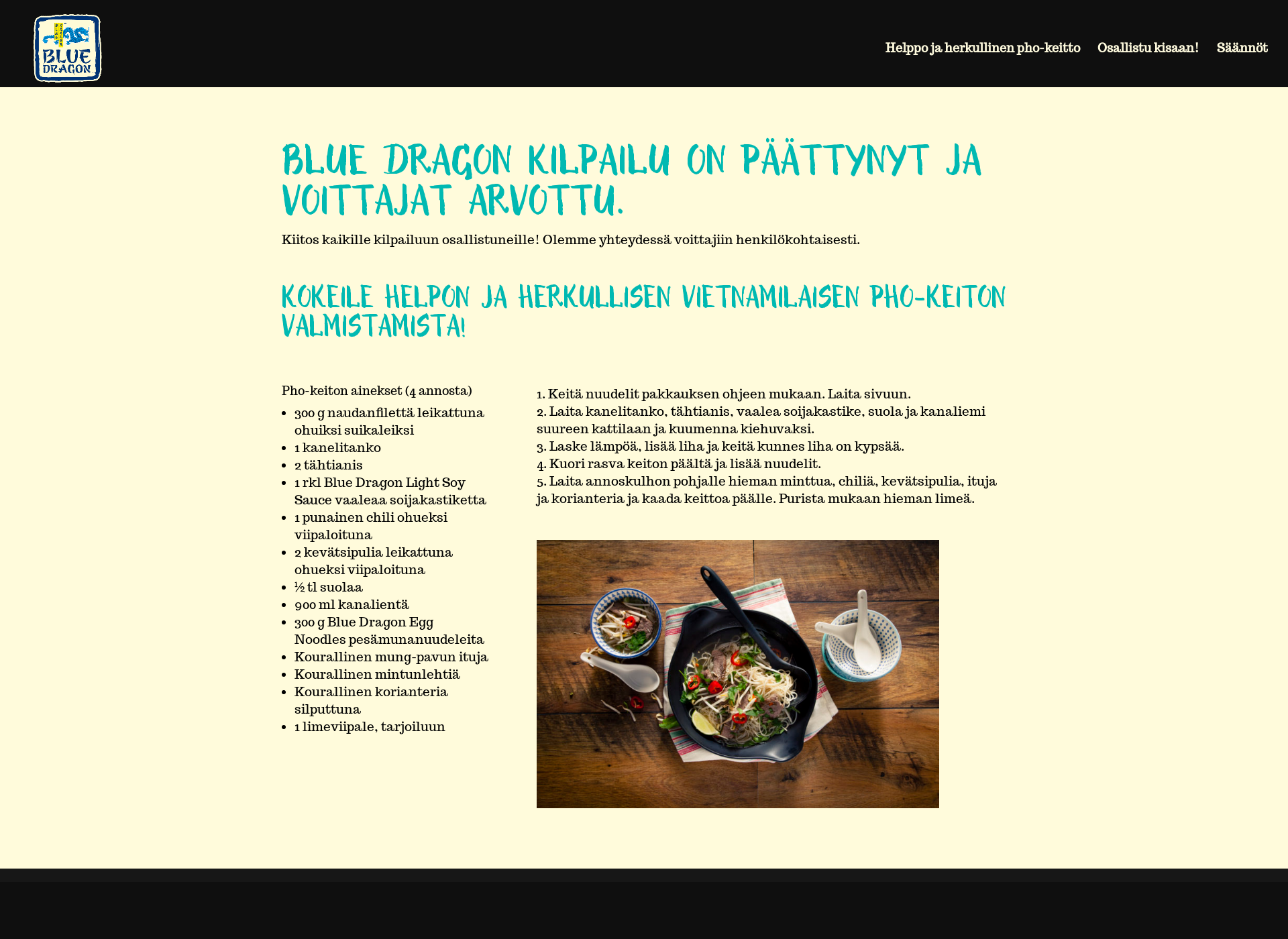 Skärmdump för bluedragonkisa.fi