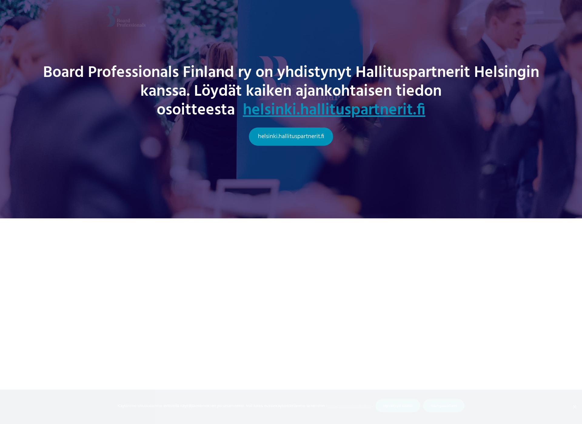 Skärmdump för boardprofessionals.fi