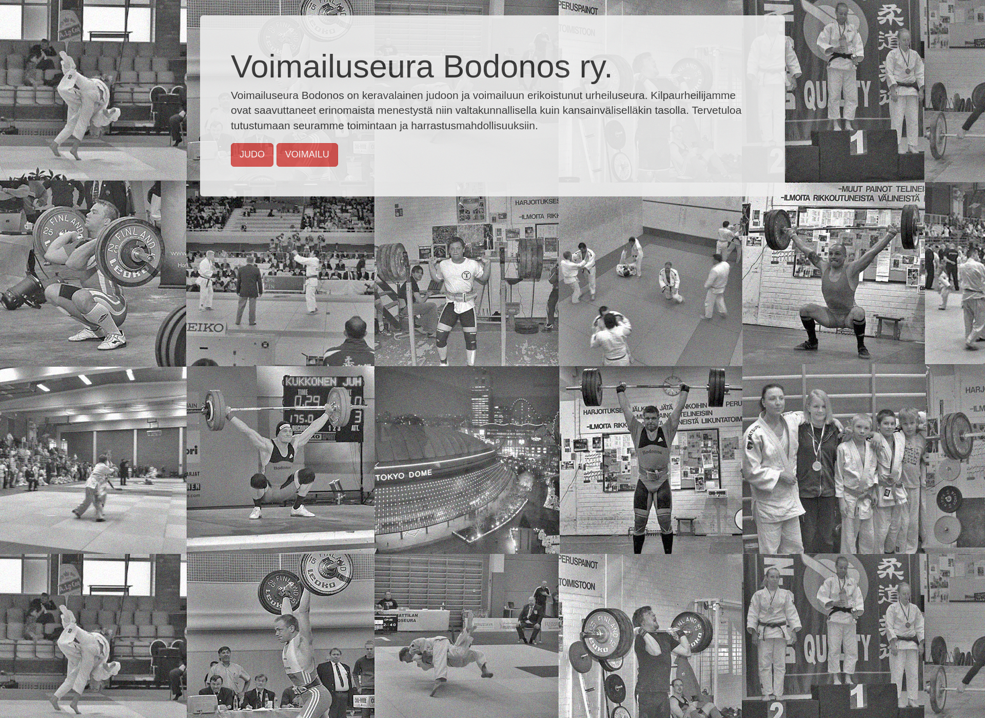Screenshot for bodonos.fi