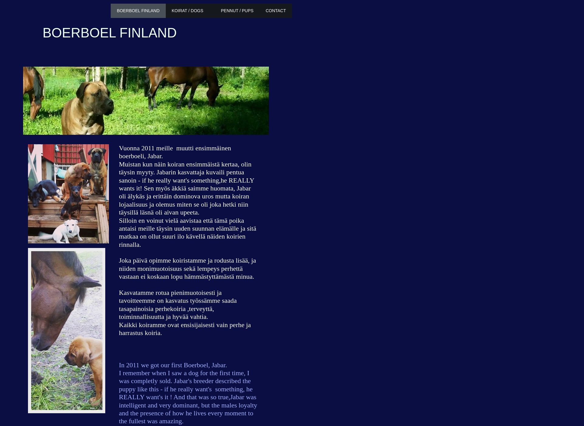Screenshot for boerboelfinland.fi