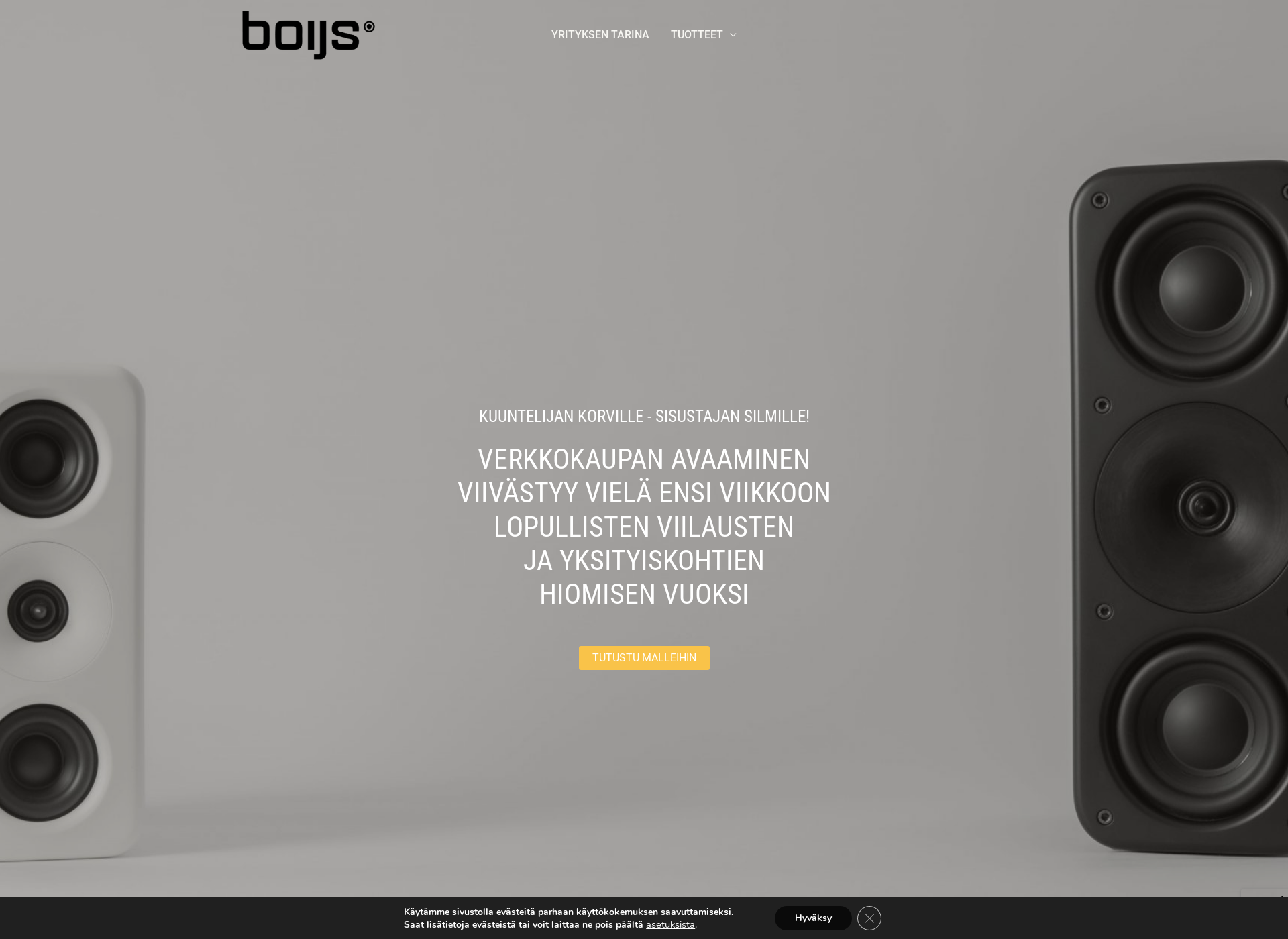 Skärmdump för boijs.fi
