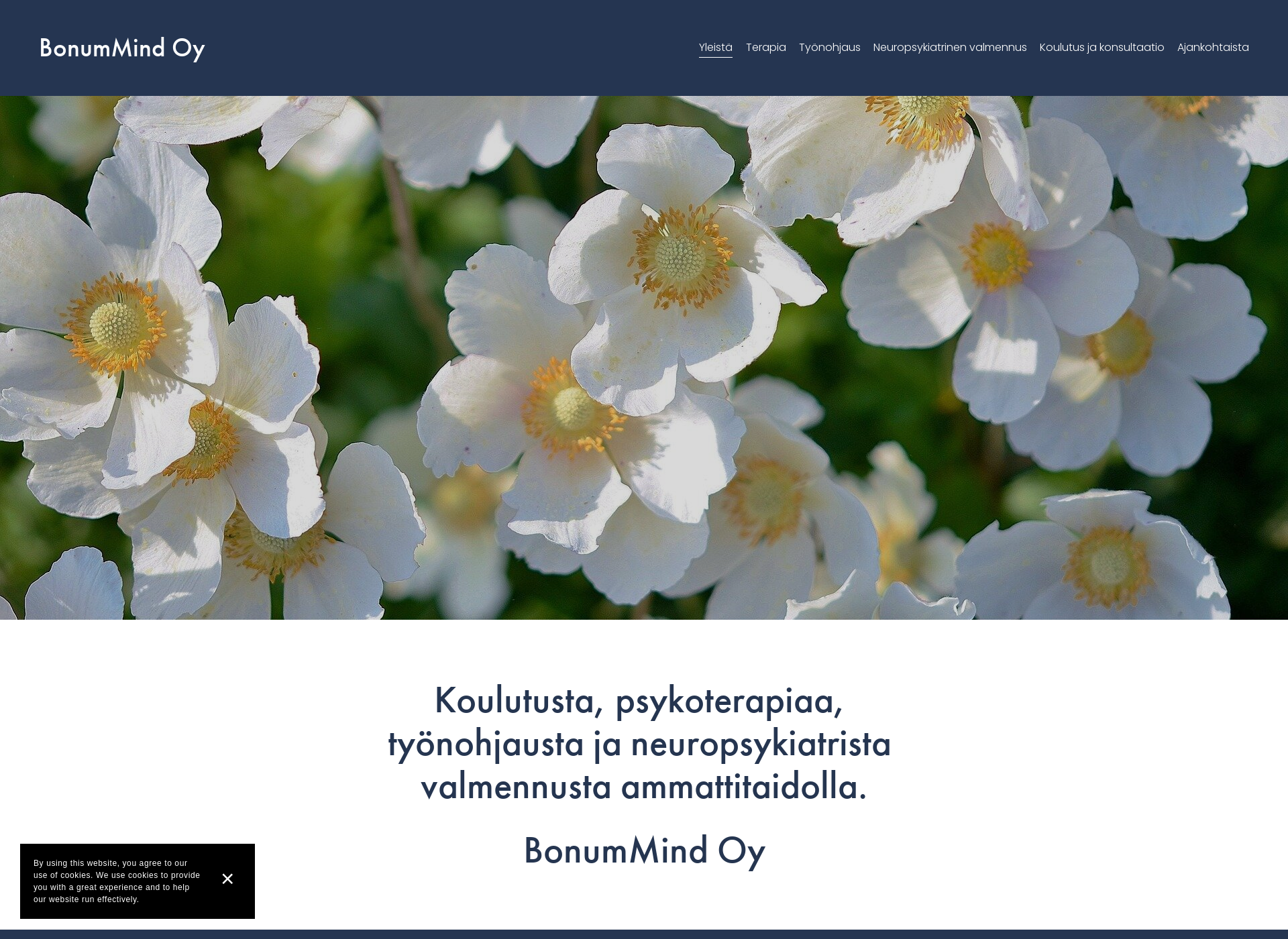 Screenshot for bonummind.fi