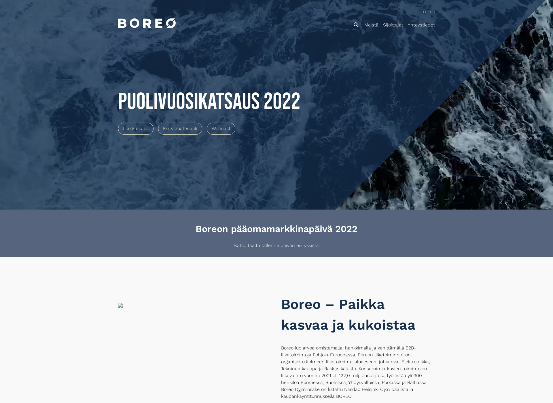 Screenshot for boreogroup.fi