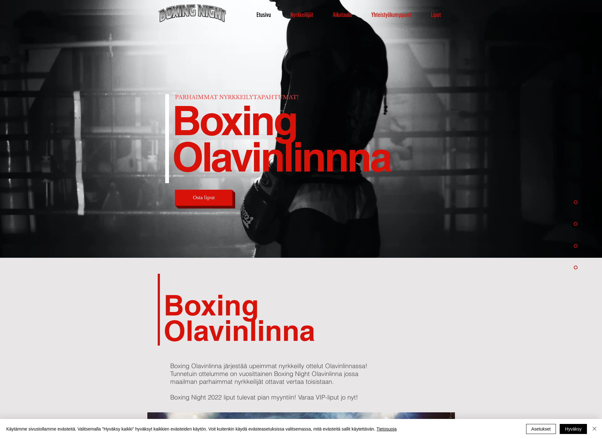 Skärmdump för boxingolavinlinna.fi