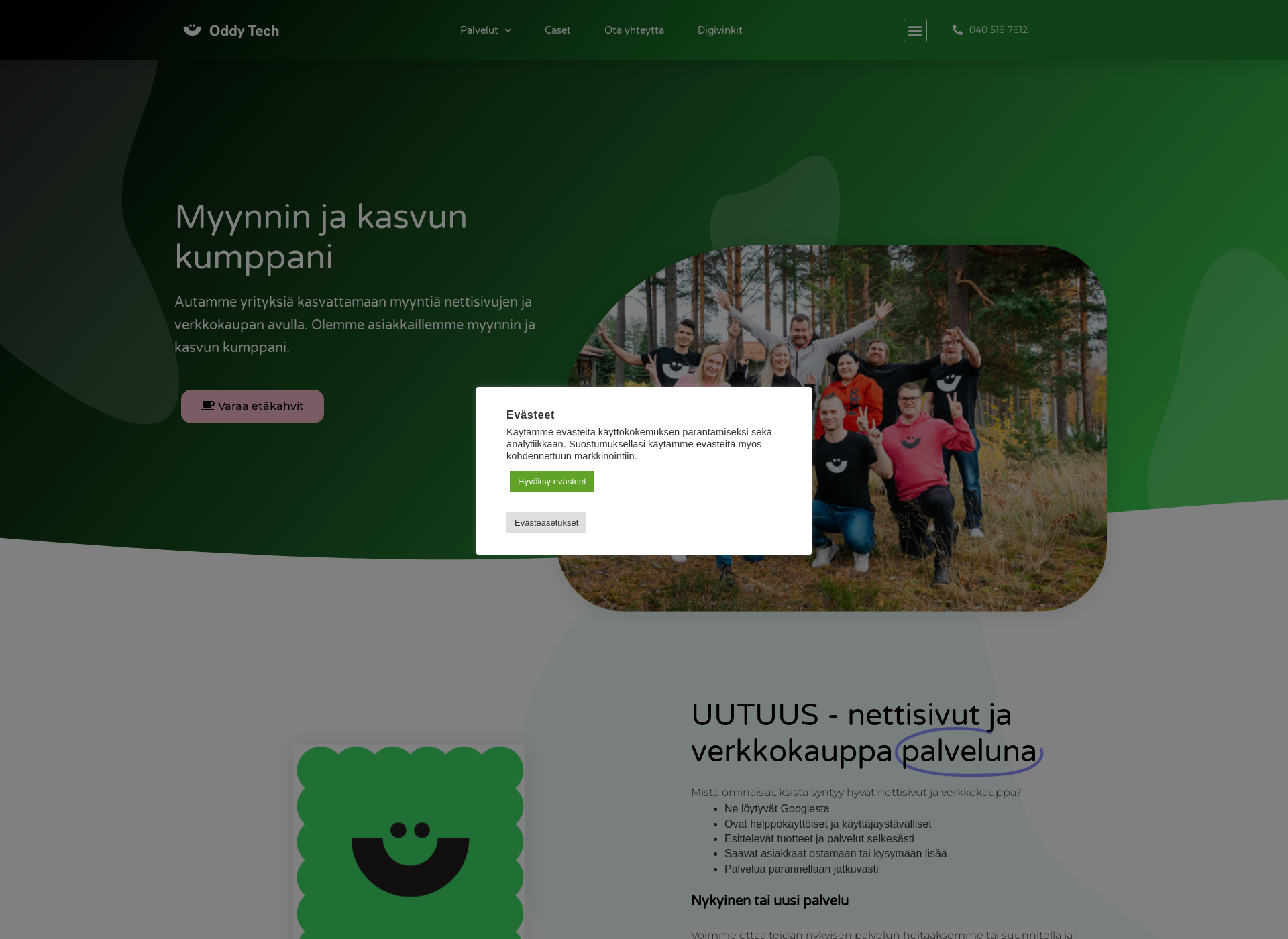Screenshot for brave.fi