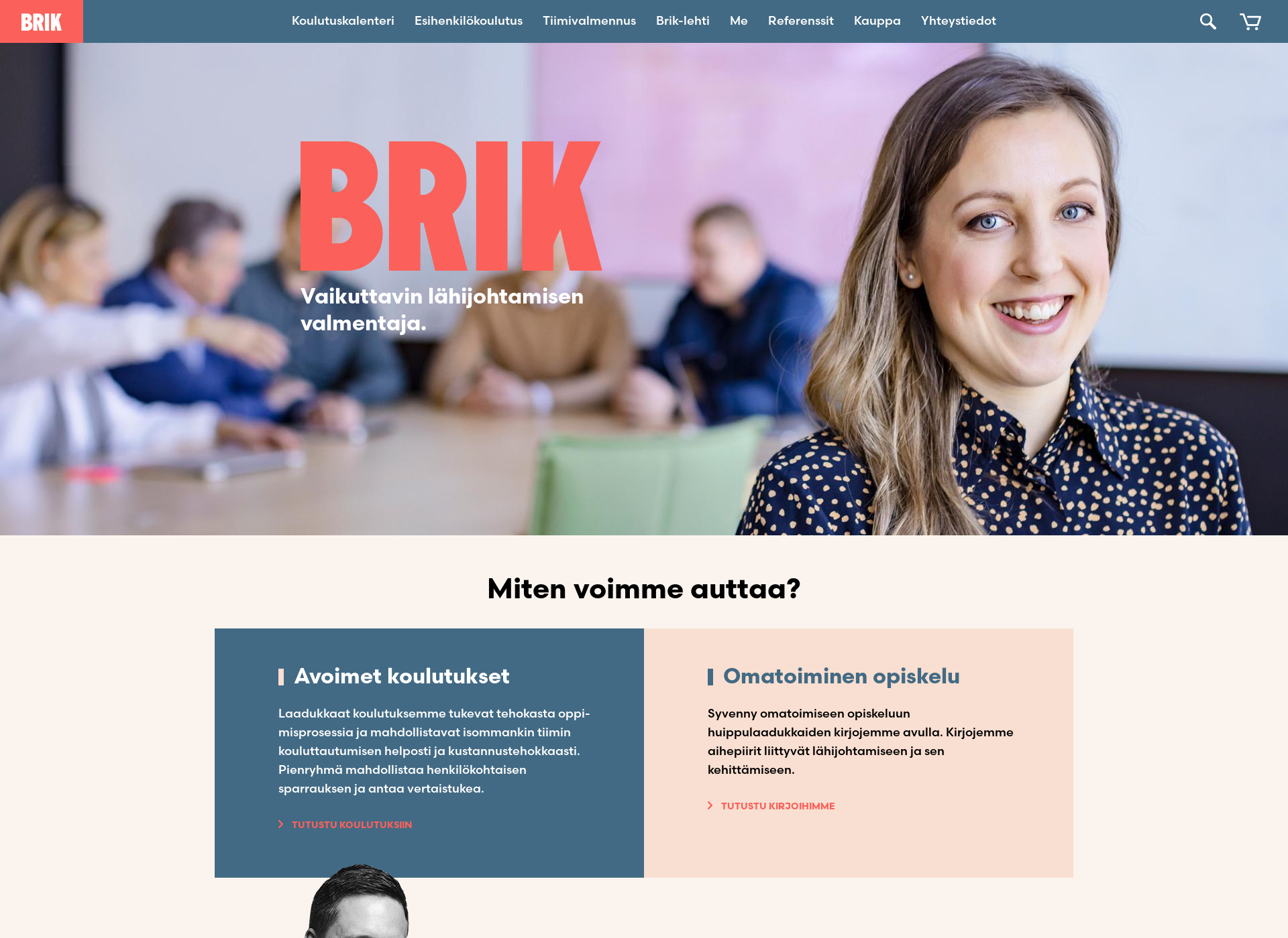 Skärmdump för brik.fi