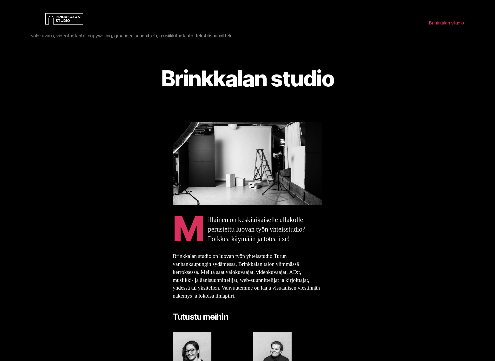 Screenshot for brinkkalanstudio.fi