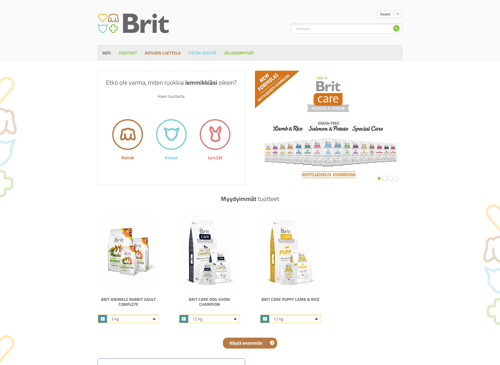 Screenshot for britcare.fi