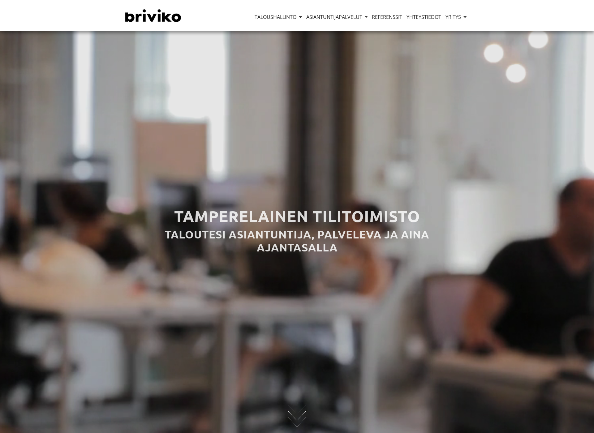 Skärmdump för briviko.fi