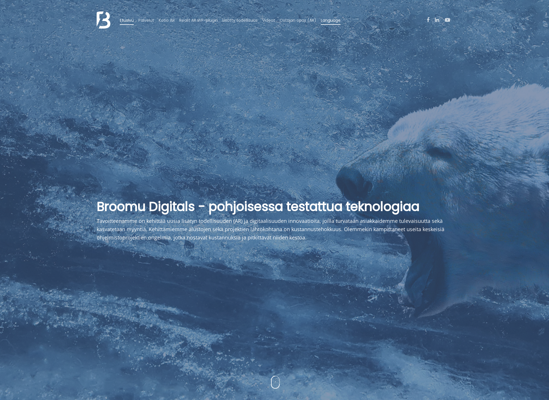 Screenshot for broomudigitals.fi
