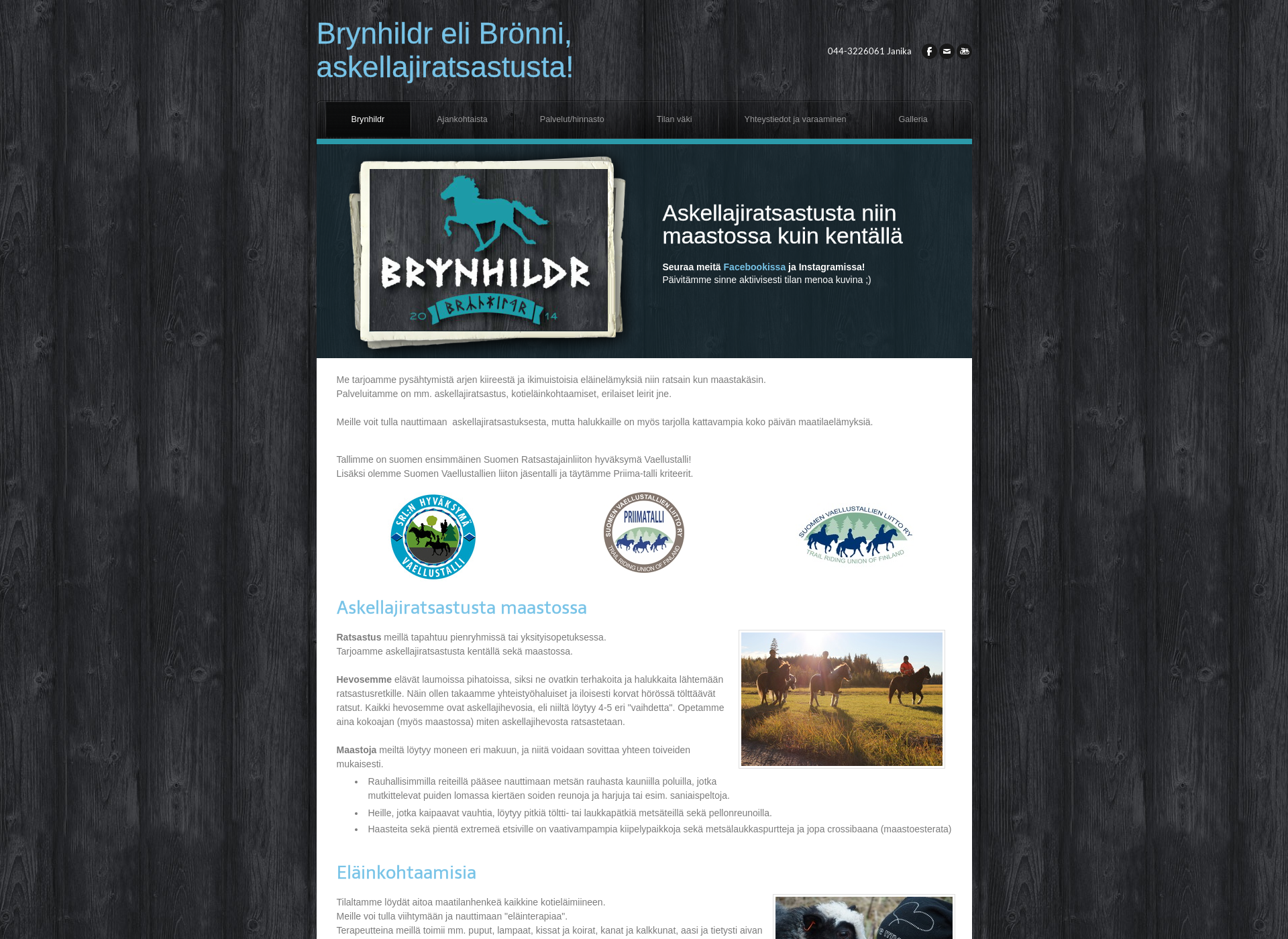 Screenshot for brynhildr.fi