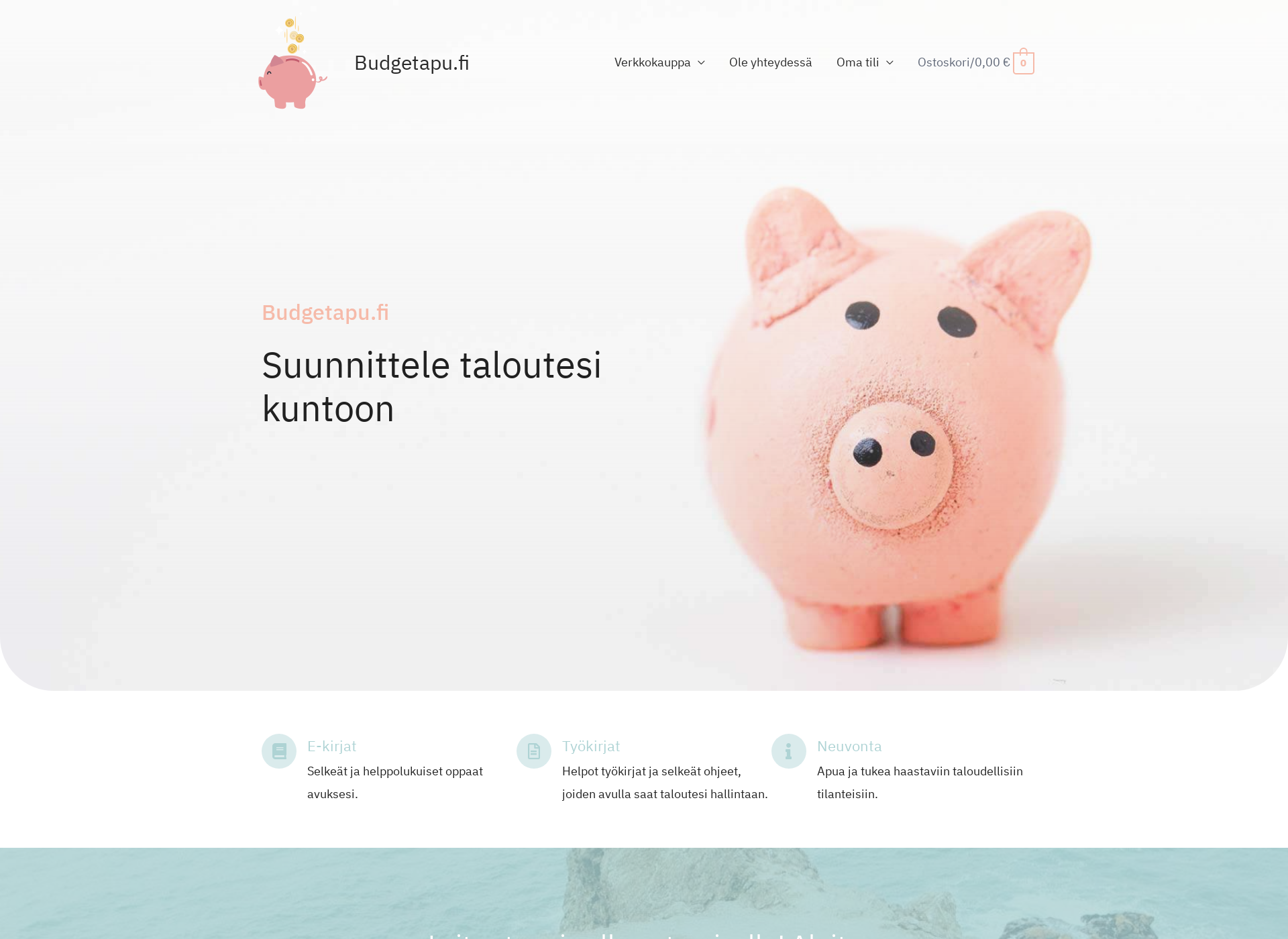 Screenshot for budgetapu.fi