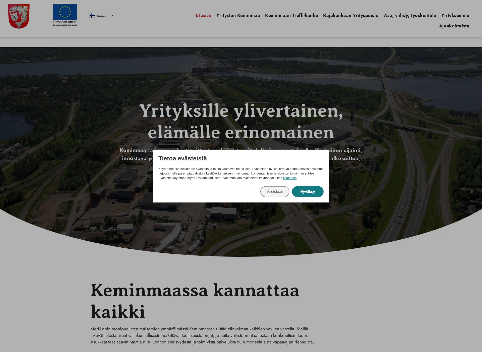 Skärmdump för businesskeminmaa.fi