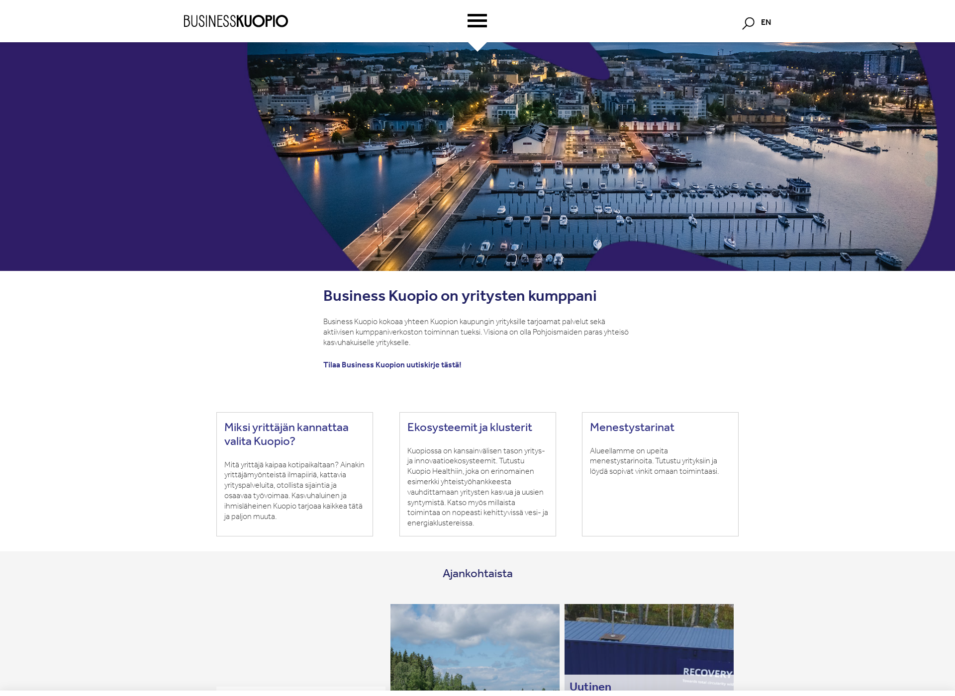 Screenshot for businesskuopio.fi