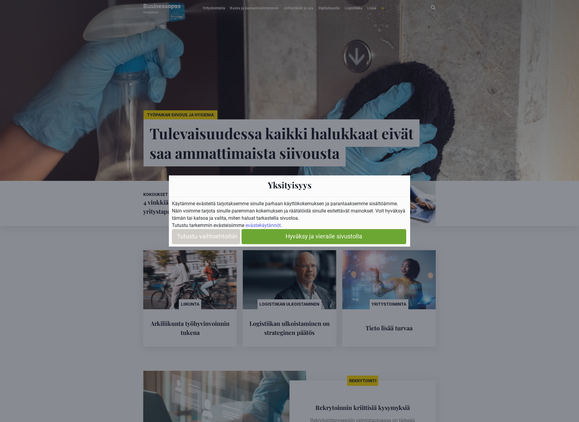 Screenshot for businessopas.fi