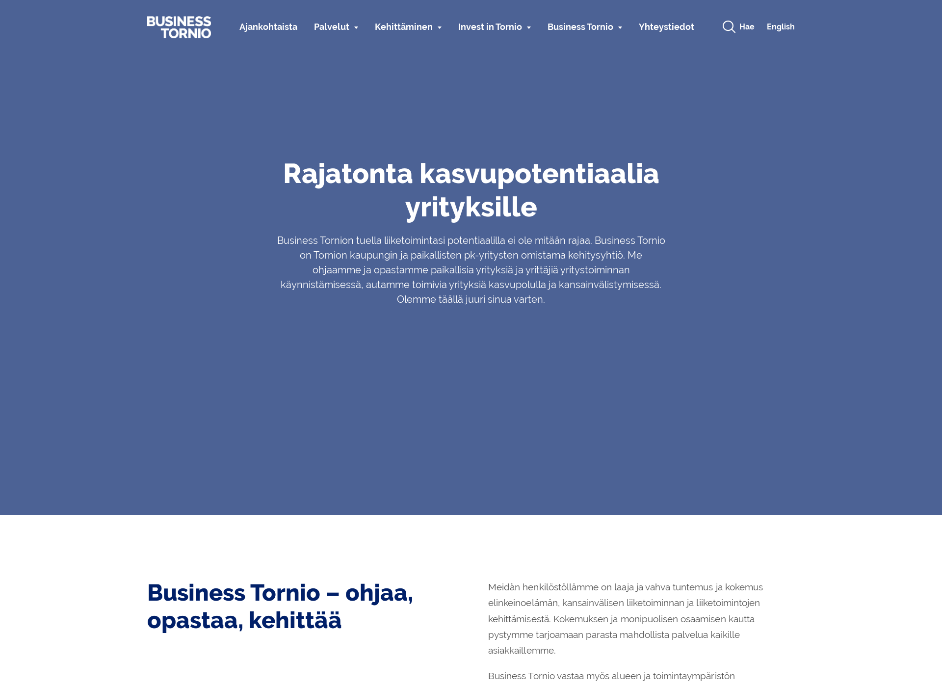 Screenshot for businesstornio.fi