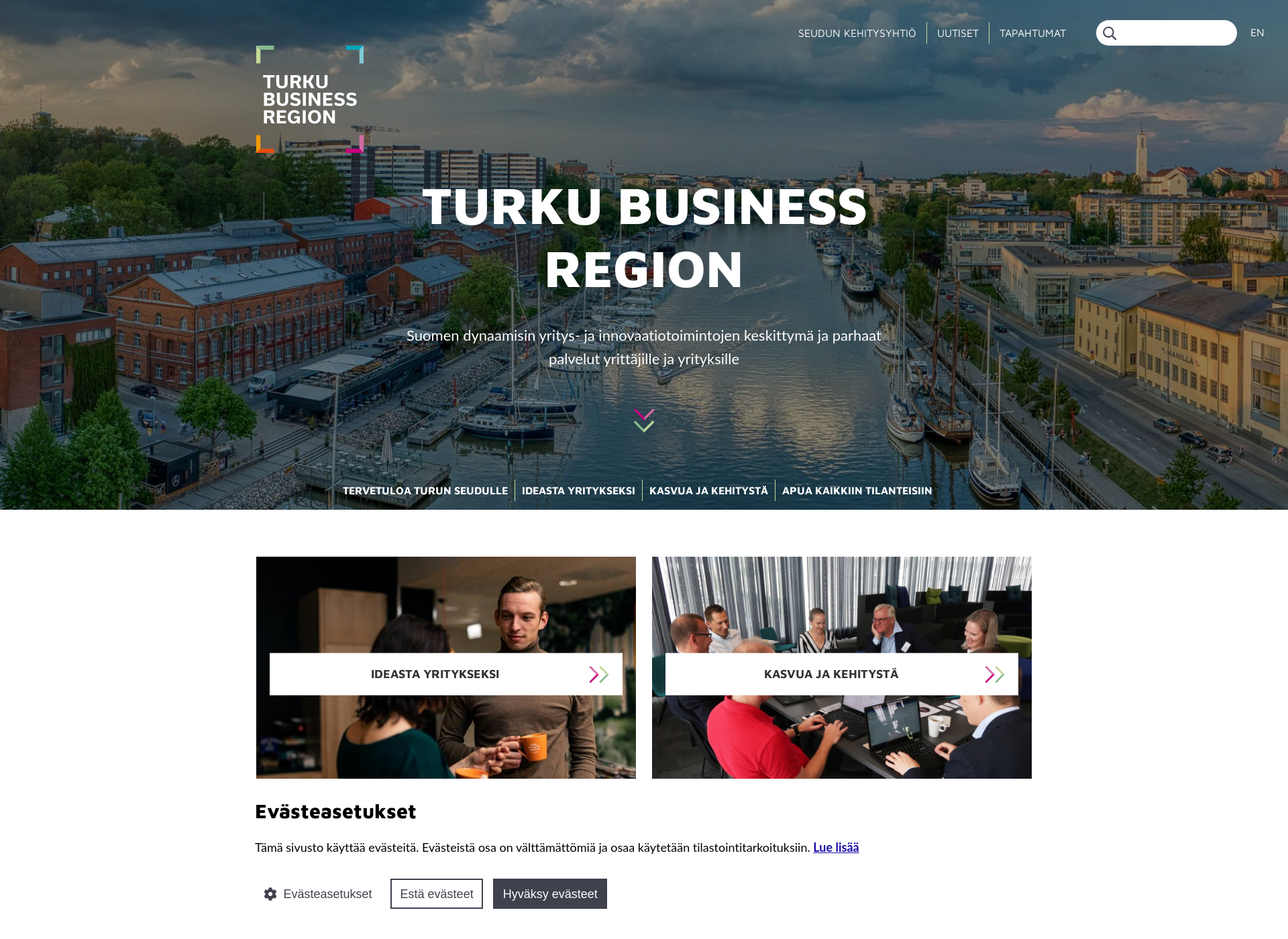 Skärmdump för businessturku.fi