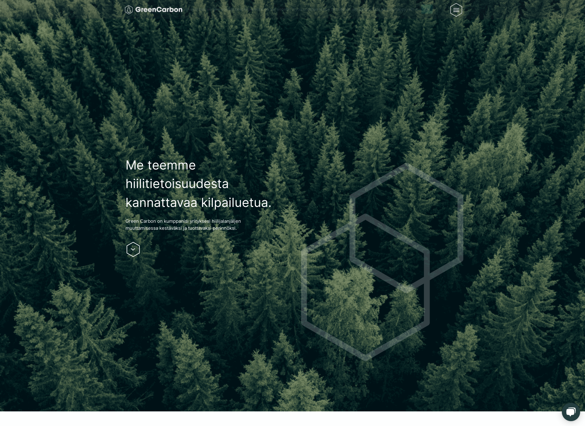 Screenshot for carbonradar.fi