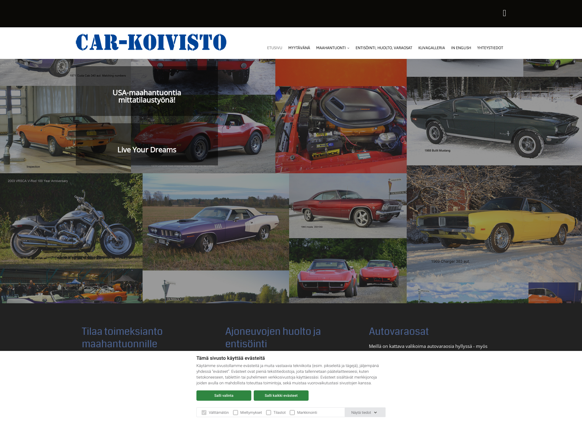 Skärmdump för carkoivisto.fi