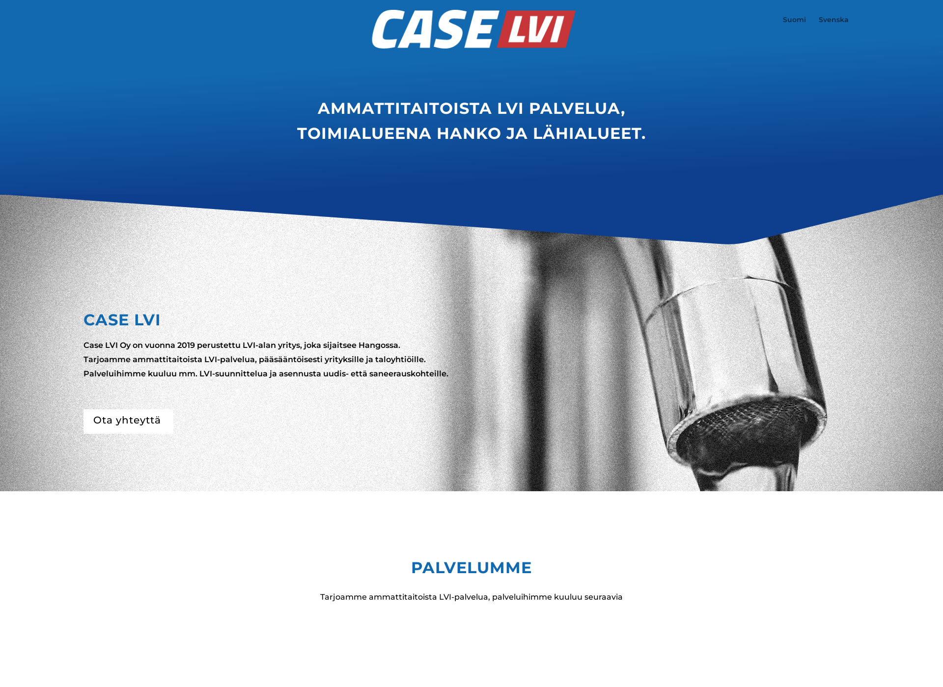 Screenshot for caselvi.fi