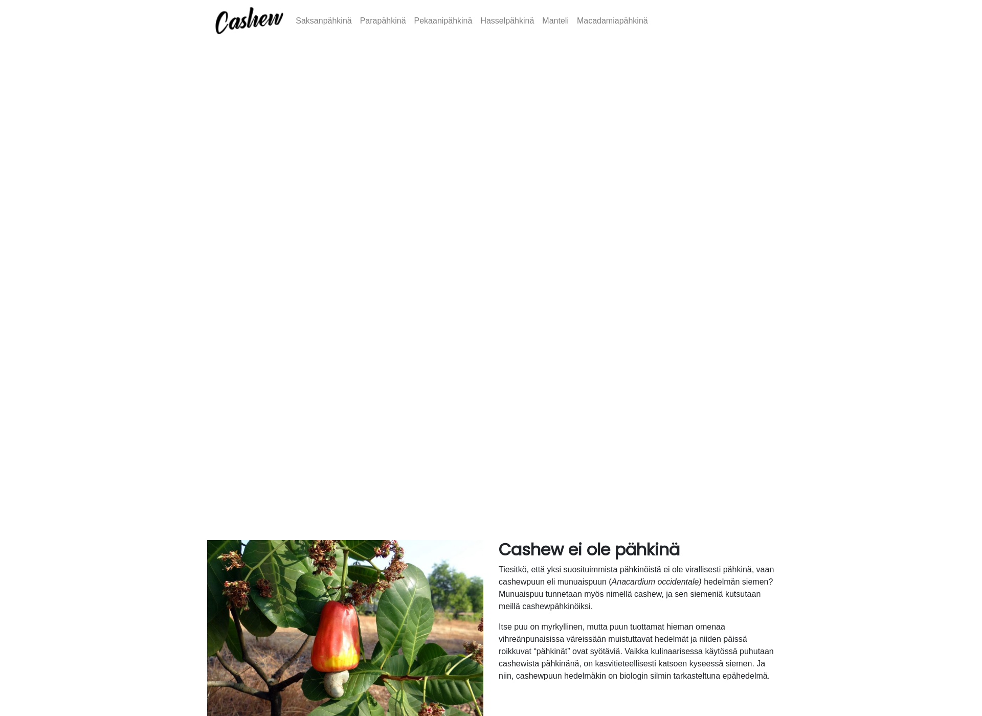 Skärmdump för cashew.fi