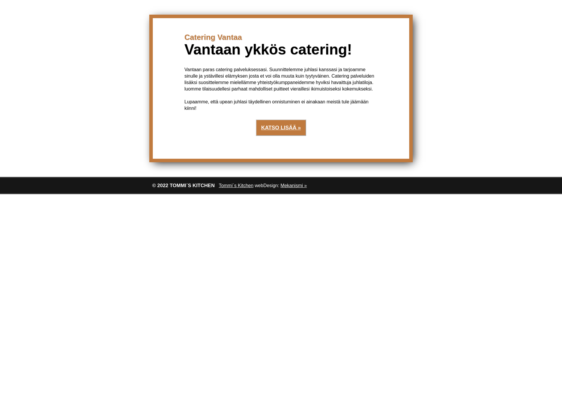 Screenshot for catering-vantaa.fi