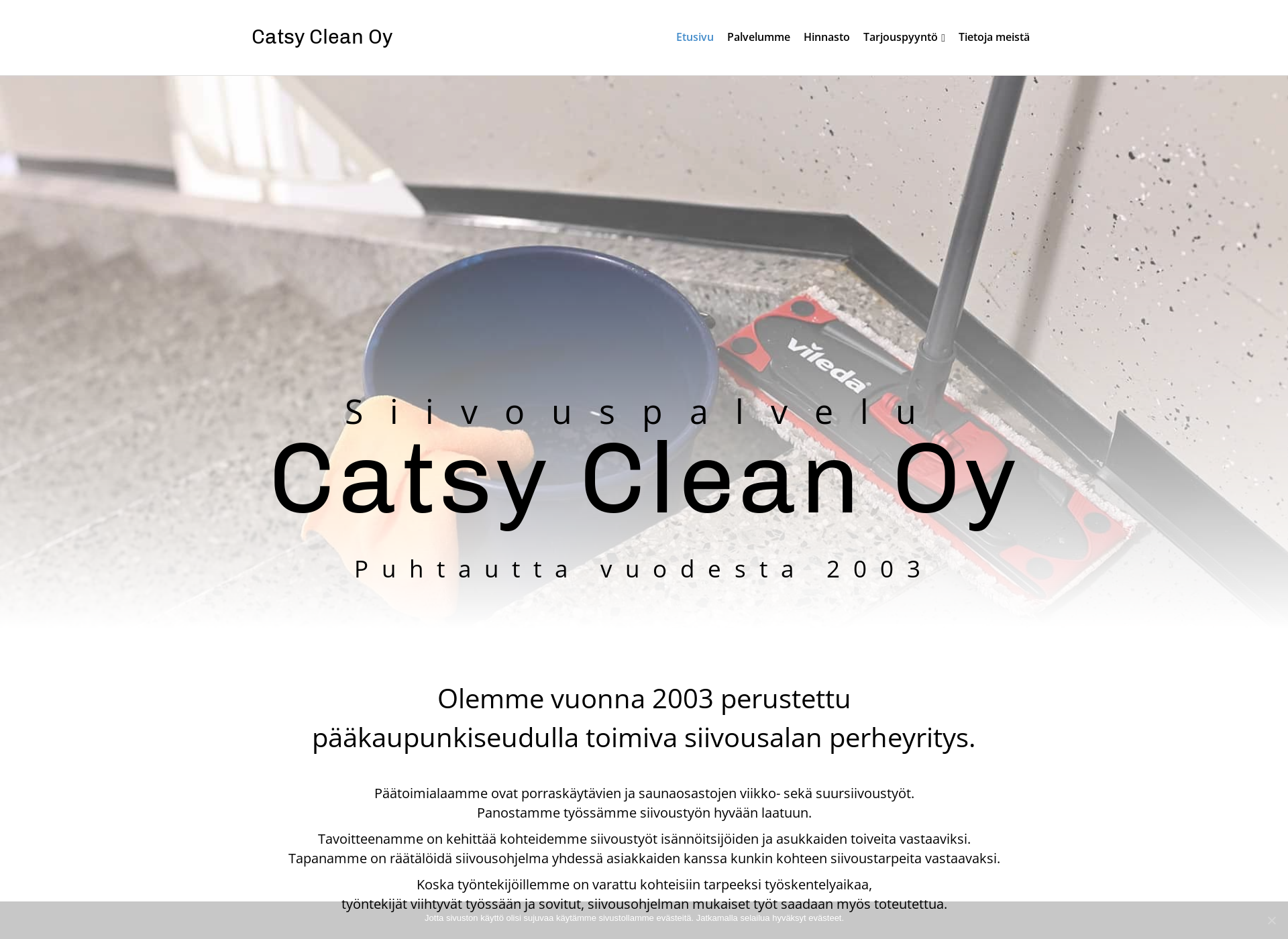 Skärmdump för catsyclean.fi