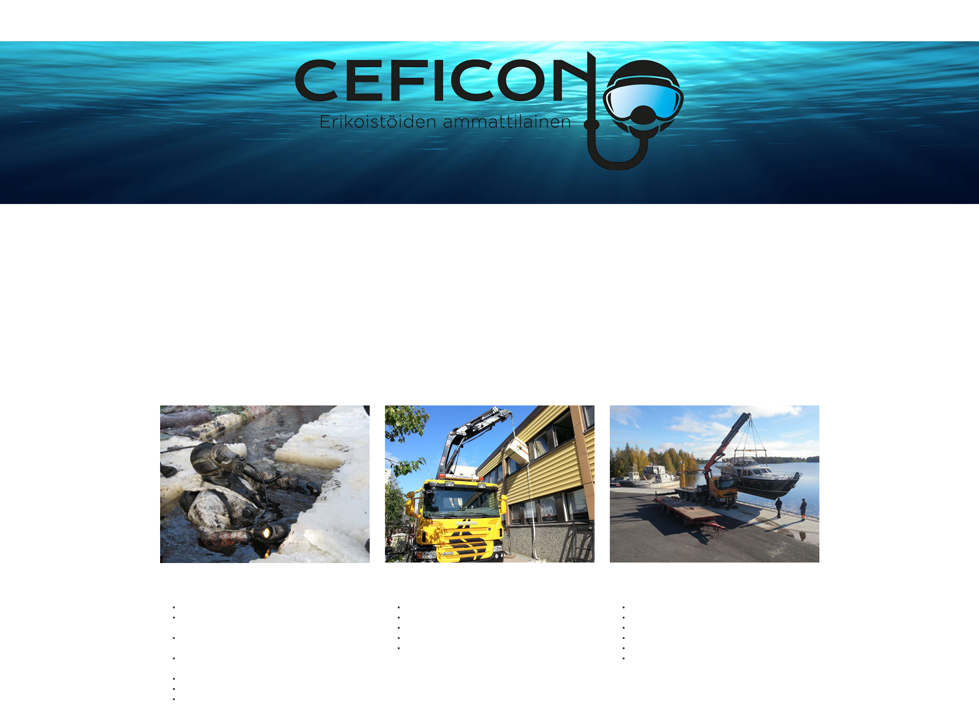 Screenshot for ceficon.fi