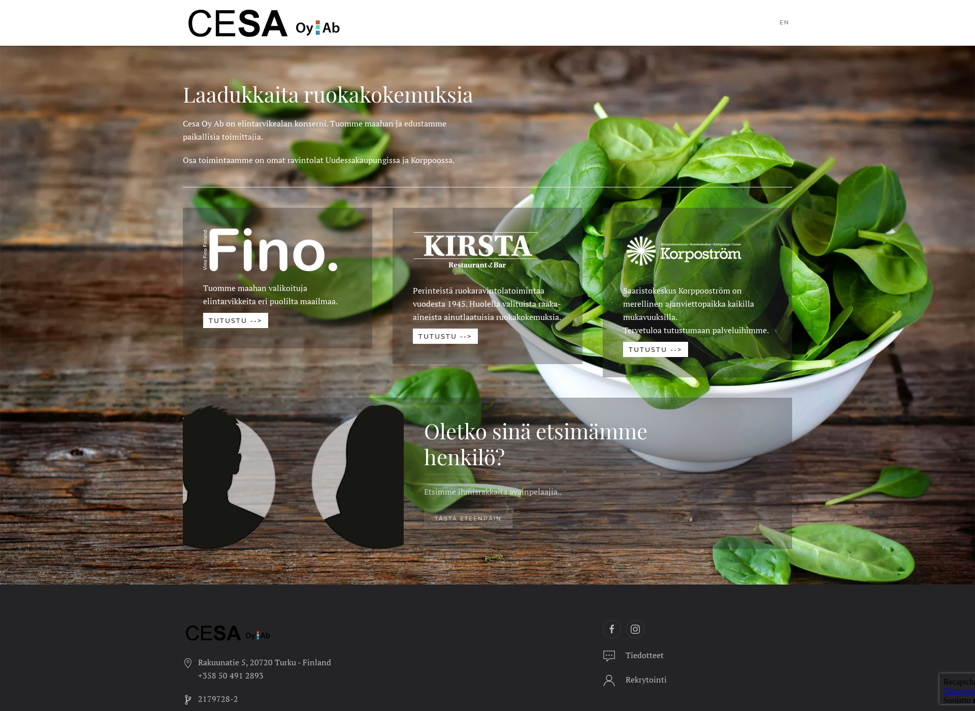 Skärmdump för cesa.fi