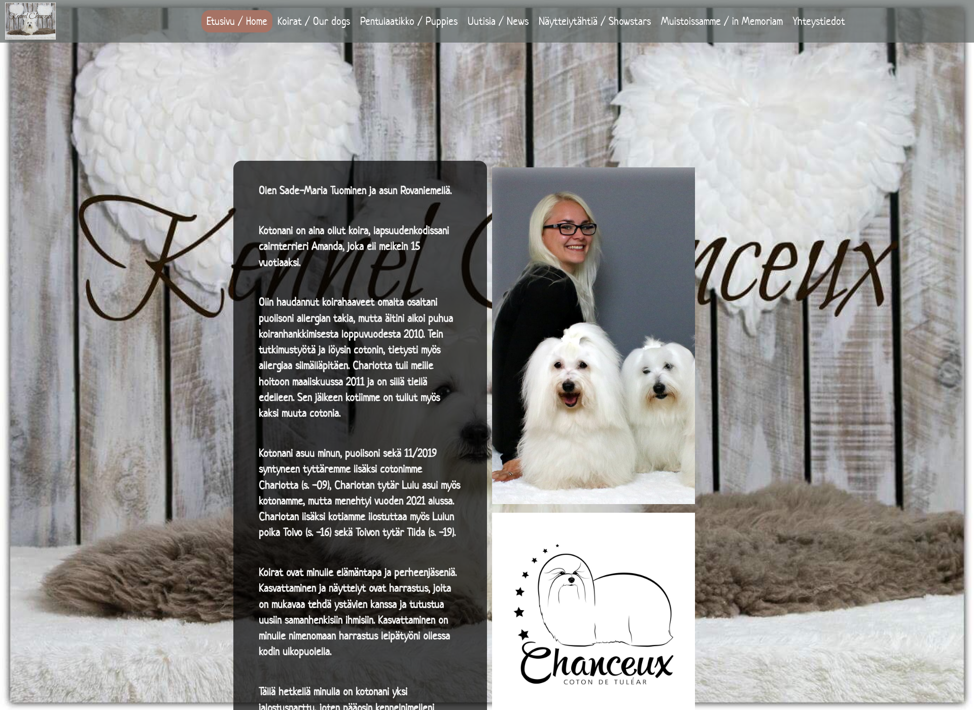 Screenshot for chanceux.fi