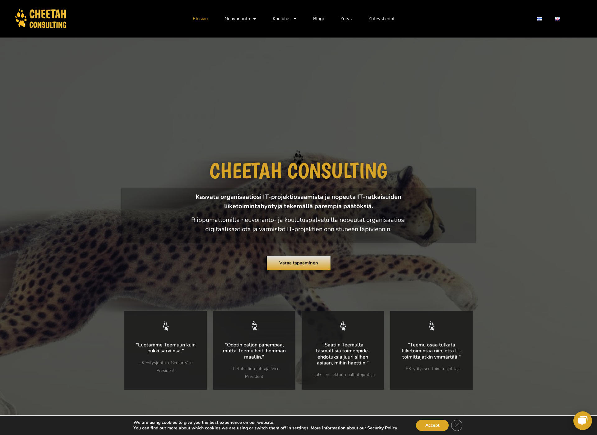 Skärmdump för cheetah.fi