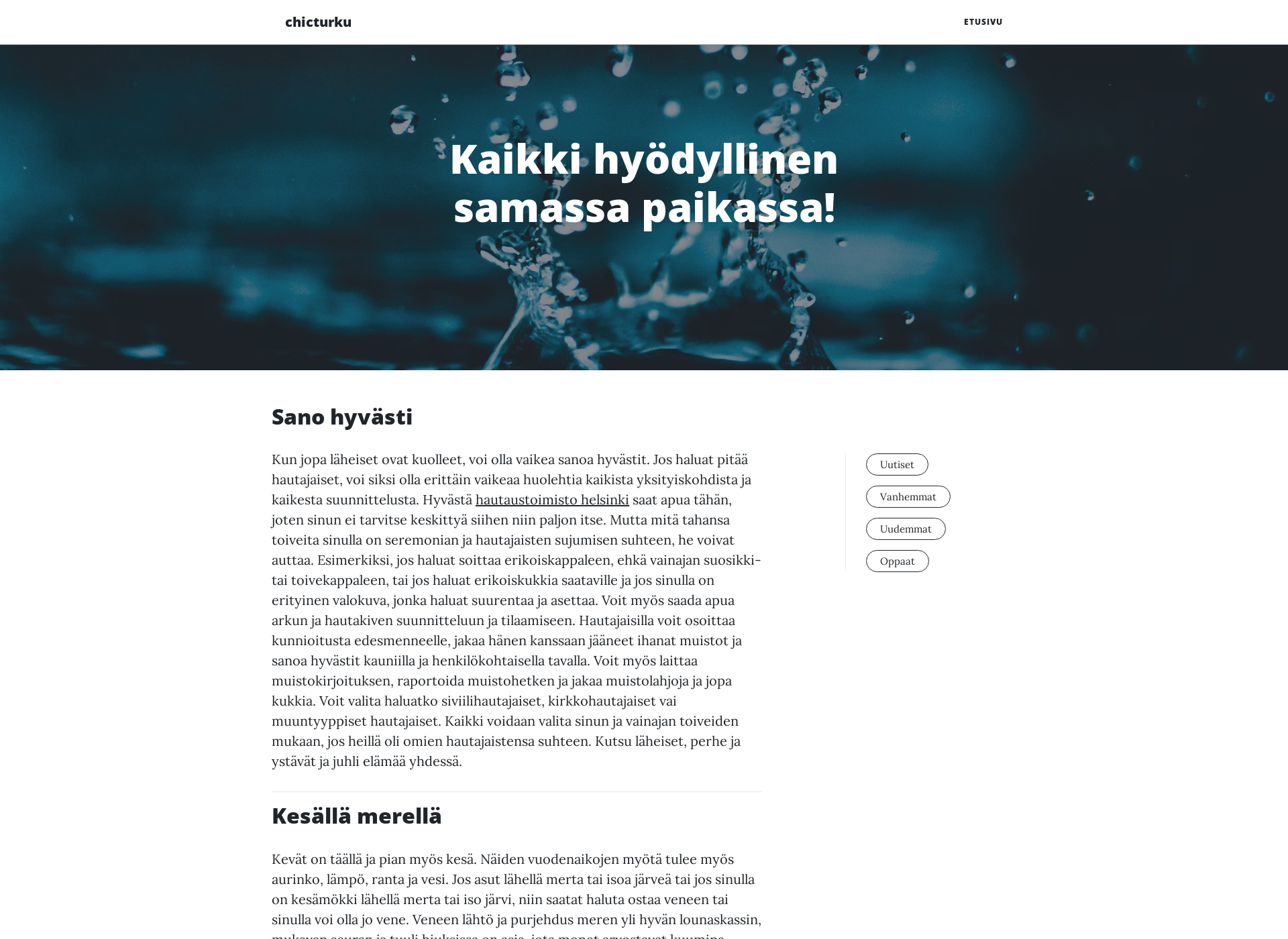 Screenshot for chicturku.fi