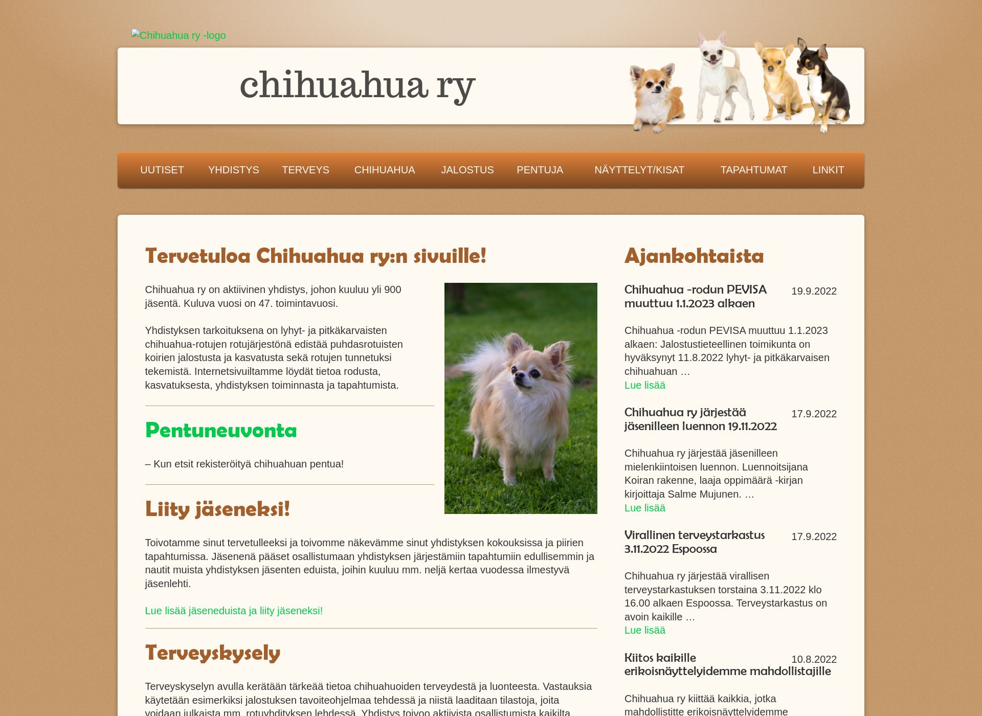 Skärmdump för chihuahua.fi