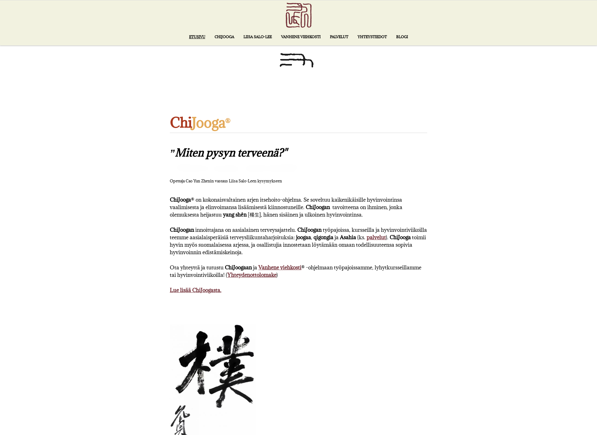Screenshot for chijooga.fi